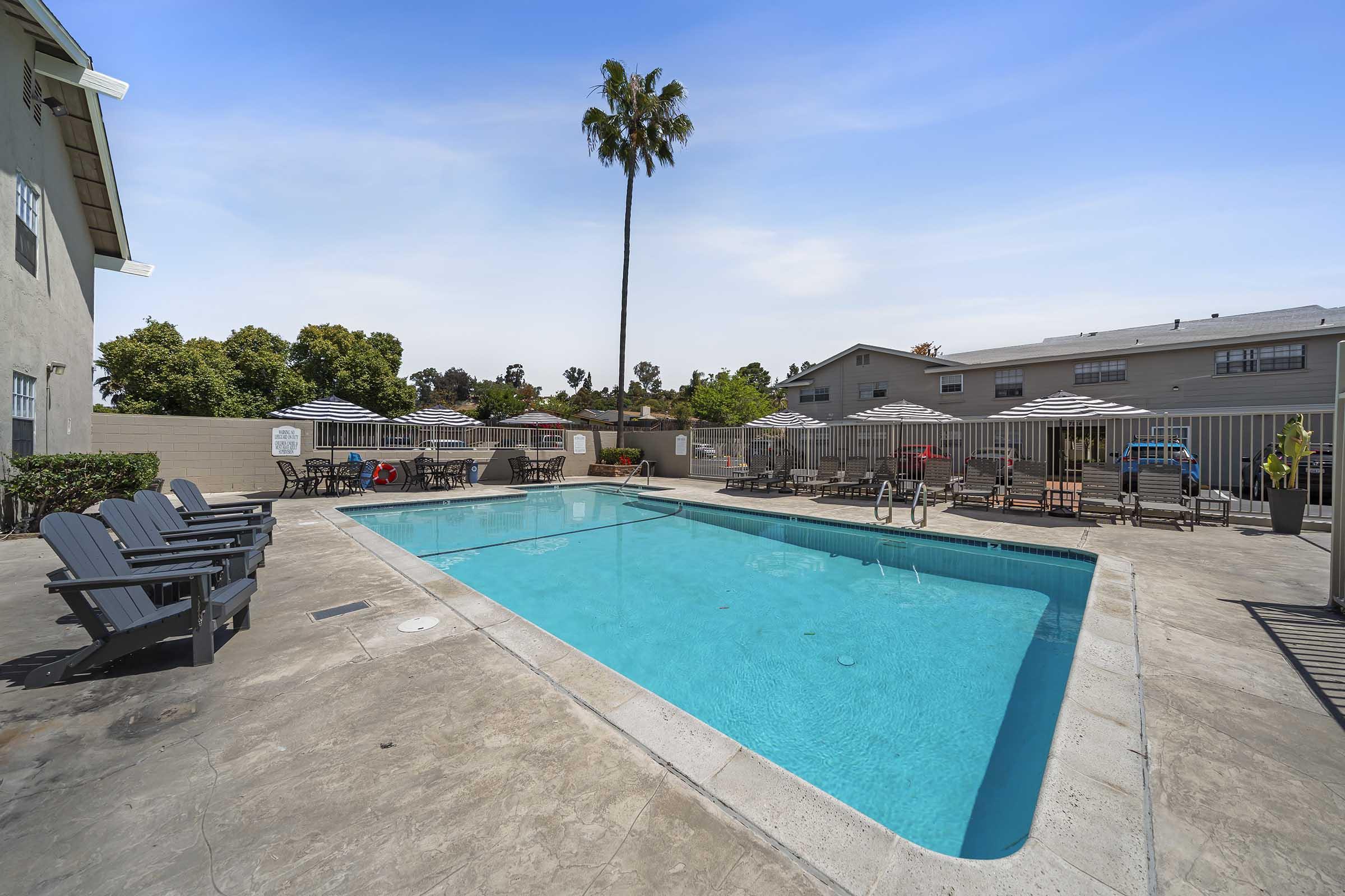 A well-maintained swimming pool surrounded by lounge chairs and tables, with umbrellas providing shade. A tall palm tree stands nearby, and multi-story residential buildings are visible in the background under a clear blue sky.