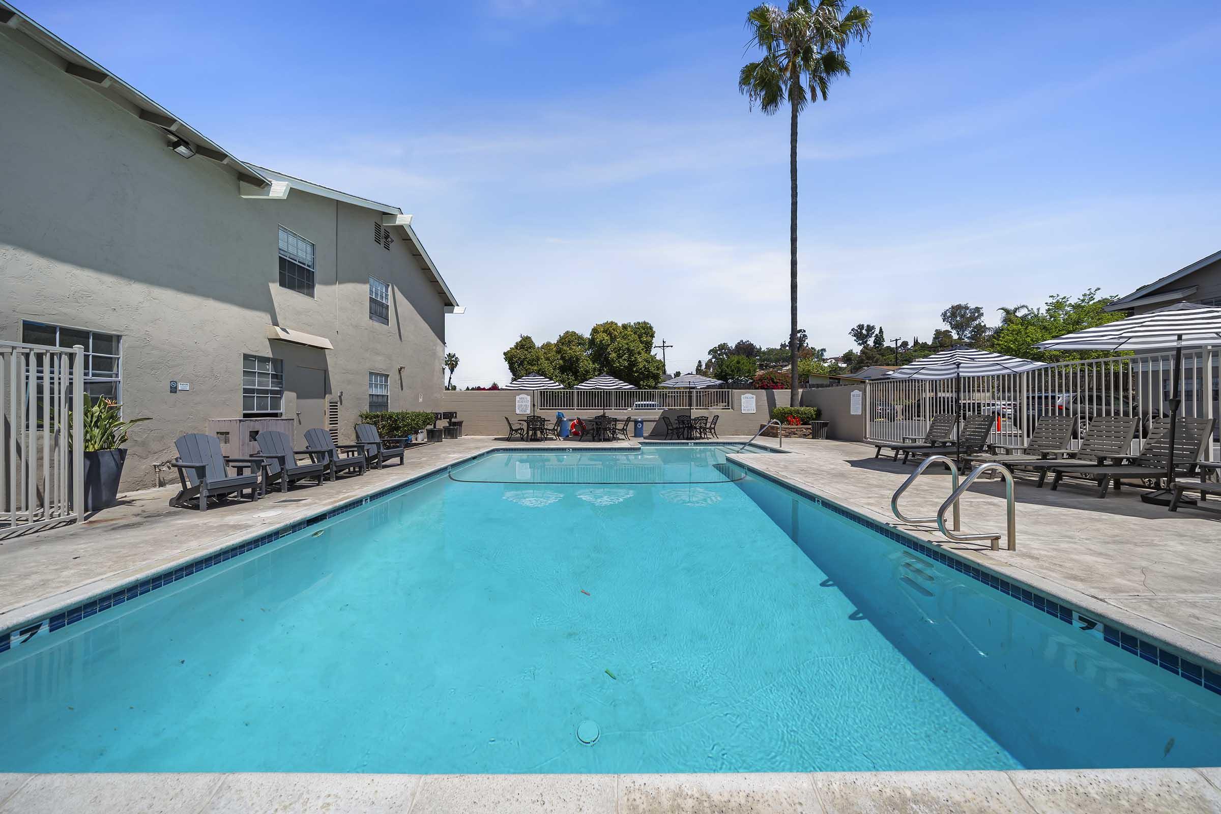 A clear swimming pool surrounded by lounge chairs and umbrellas, with a palm tree in the background. The pool area is bordered by two buildings and features a clean, inviting atmosphere, perfect for relaxation and leisure on a sunny day.
