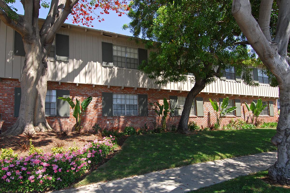 a tree in front of a brick building