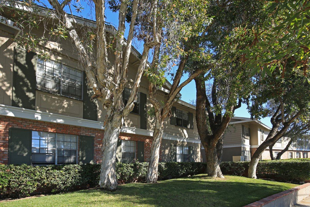 a tree in front of a house