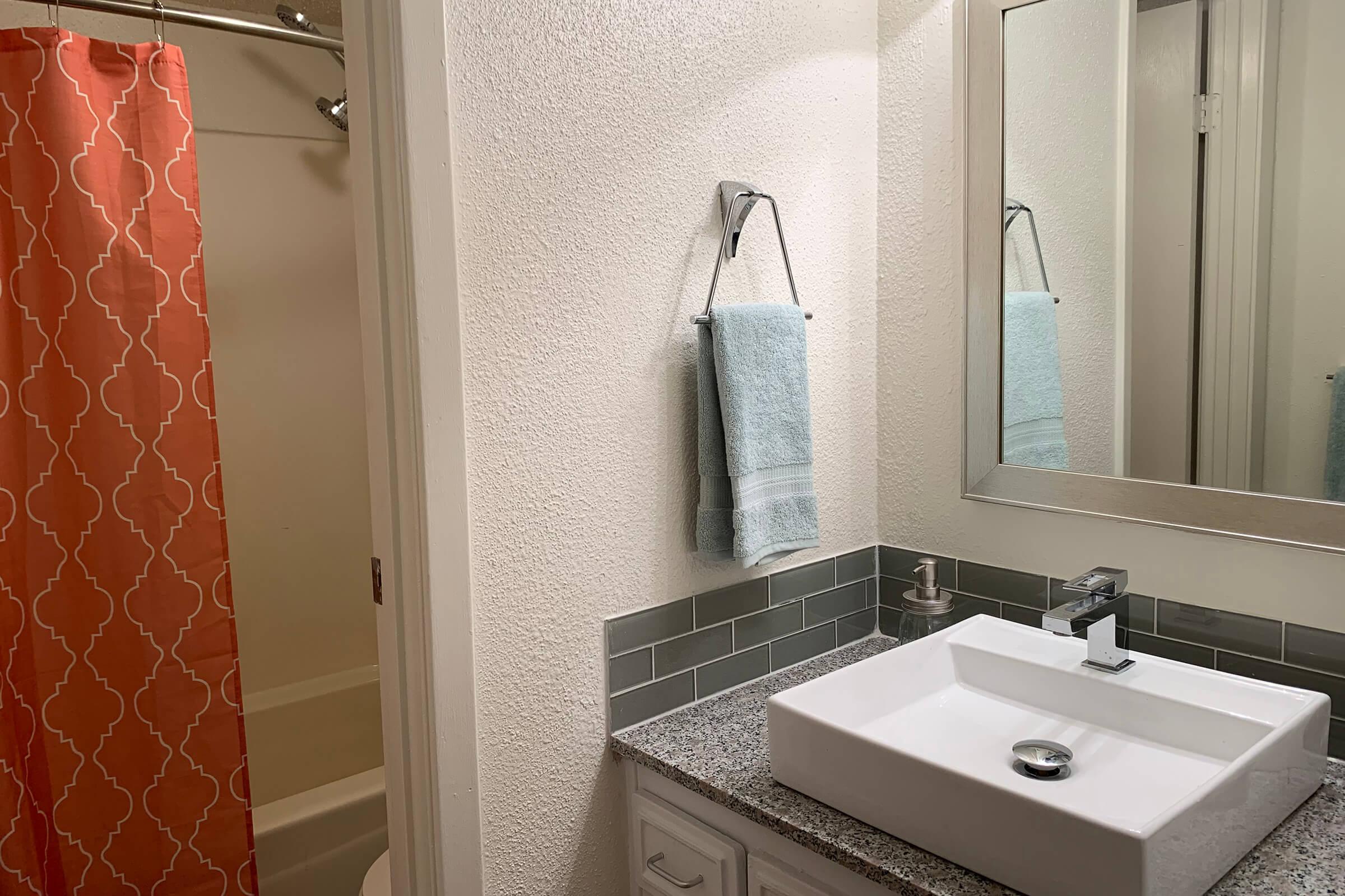 a sink and a mirror