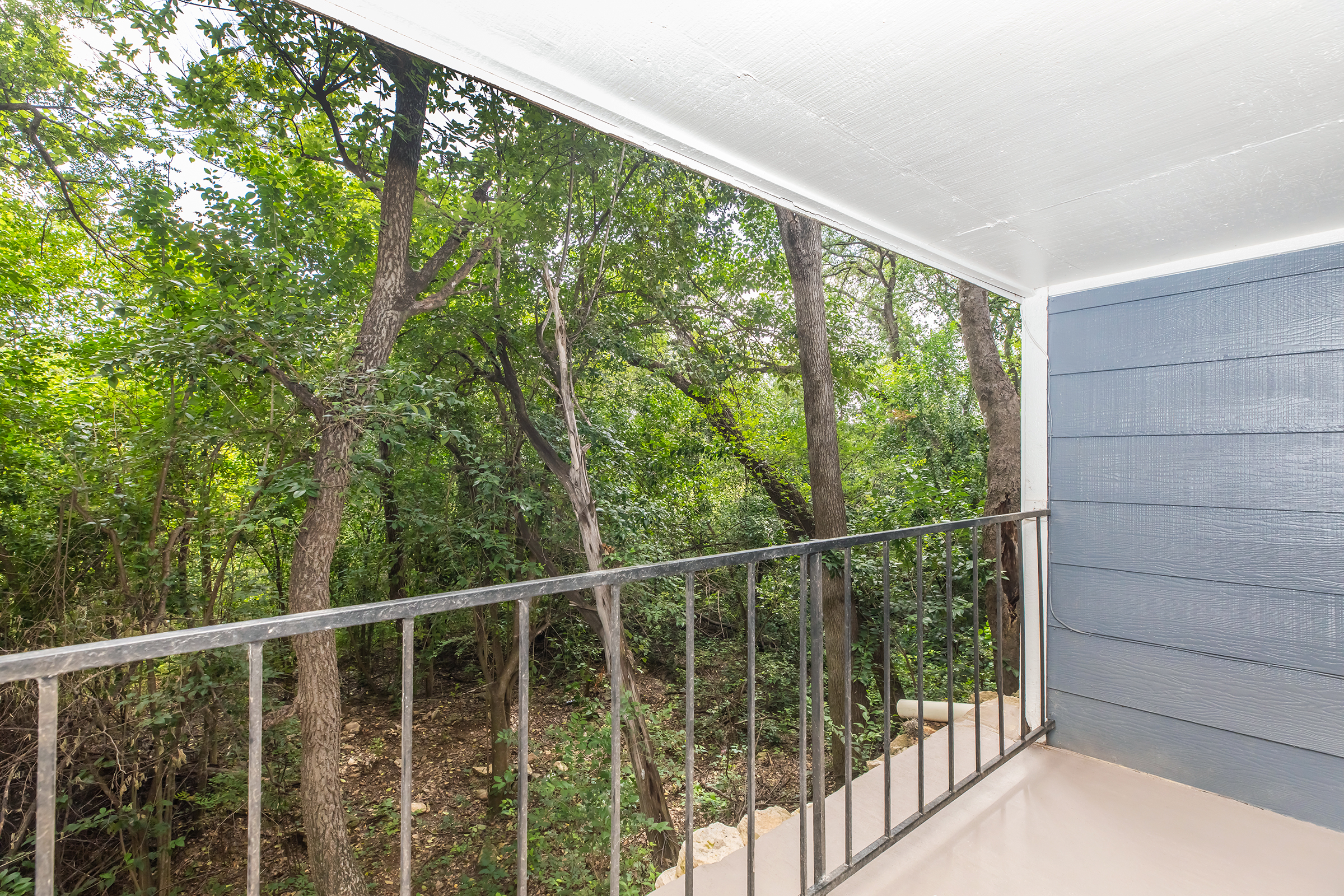View from a balcony showing a lush green forest with tall trees. The railing frames the scene, highlighting the natural surroundings and creating a tranquil atmosphere. Sunlight filters through the leaves, enhancing the vibrant greenery.