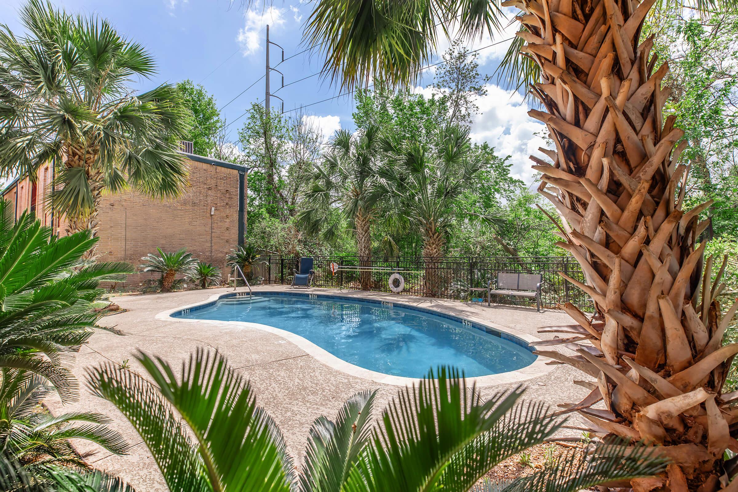 A clear swimming pool surrounded by lush greenery, including palm trees and shrubs. The pool area features a concrete deck with a lounge chair and a diving board. In the background, tall trees and a brick building can be seen under a blue sky with fluffy white clouds.