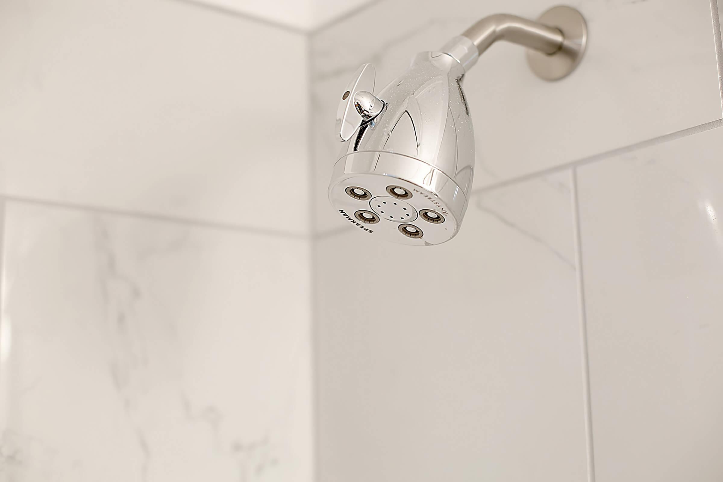 bath showerhead.jpg