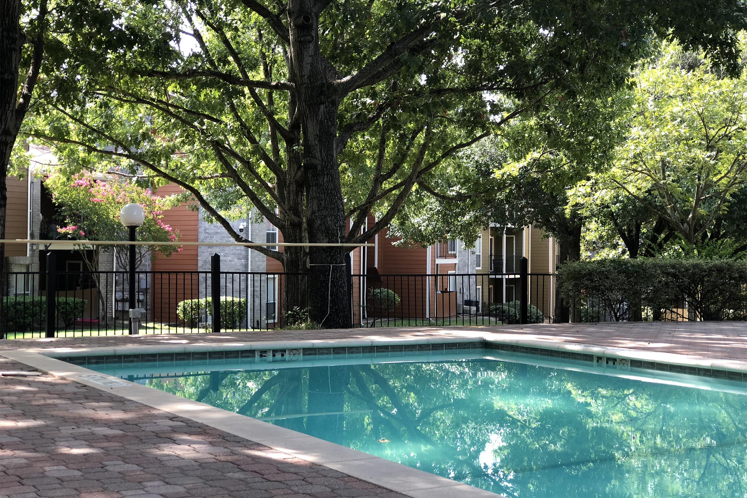 SOAK UP THE SUN BY THE SHIMMERING SWIMMING POOL