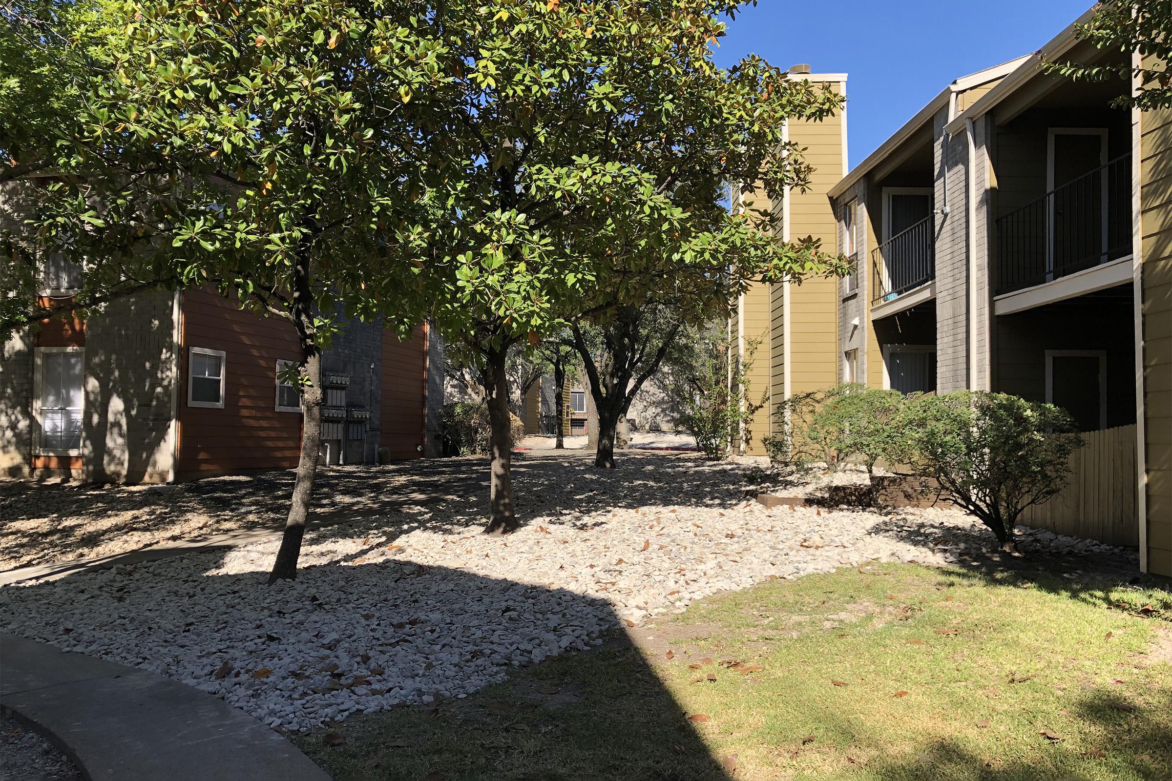 a tree in front of a house