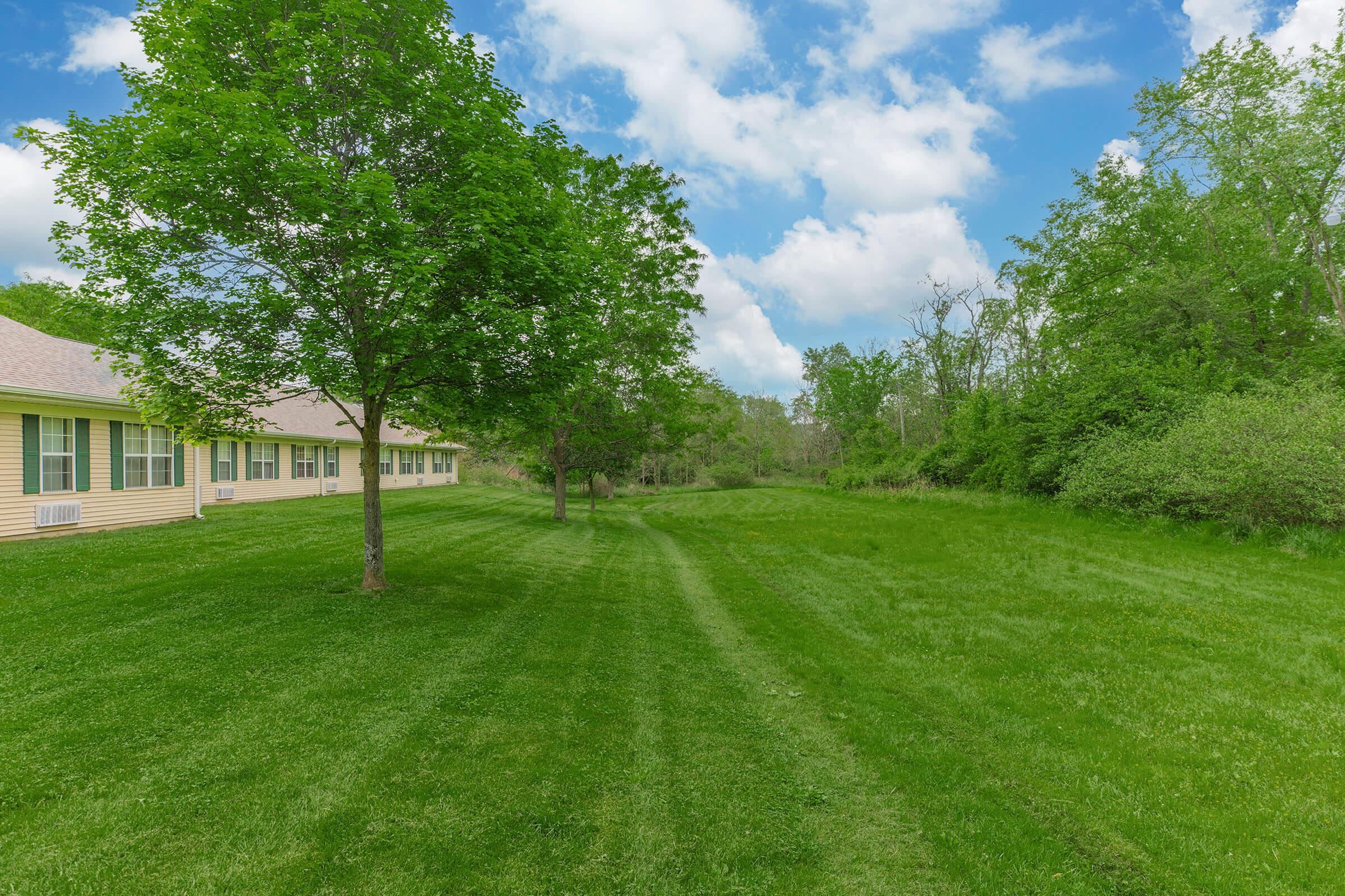 a large green field with trees in the background