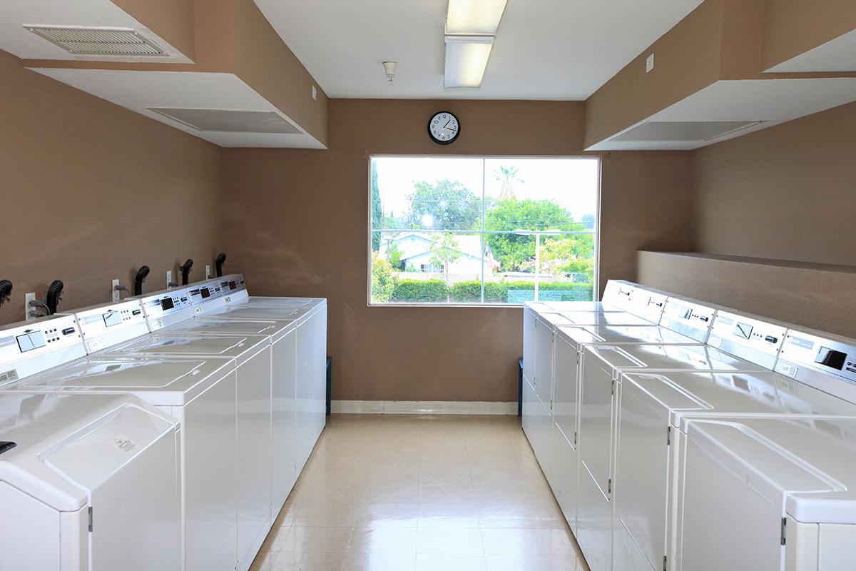 Washers and dryers in community laundry room