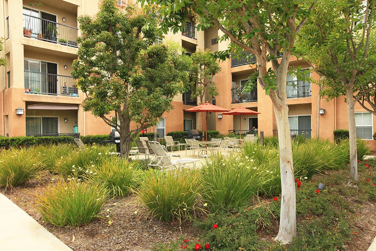 Sungrove Senior Apartment Homes courtyard with tables and chairs