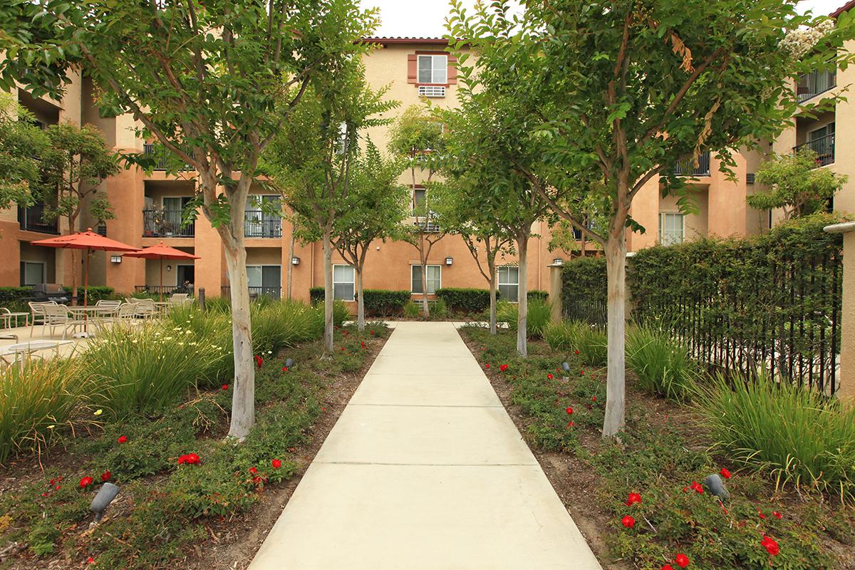 Walkway surrounded by green landscaping