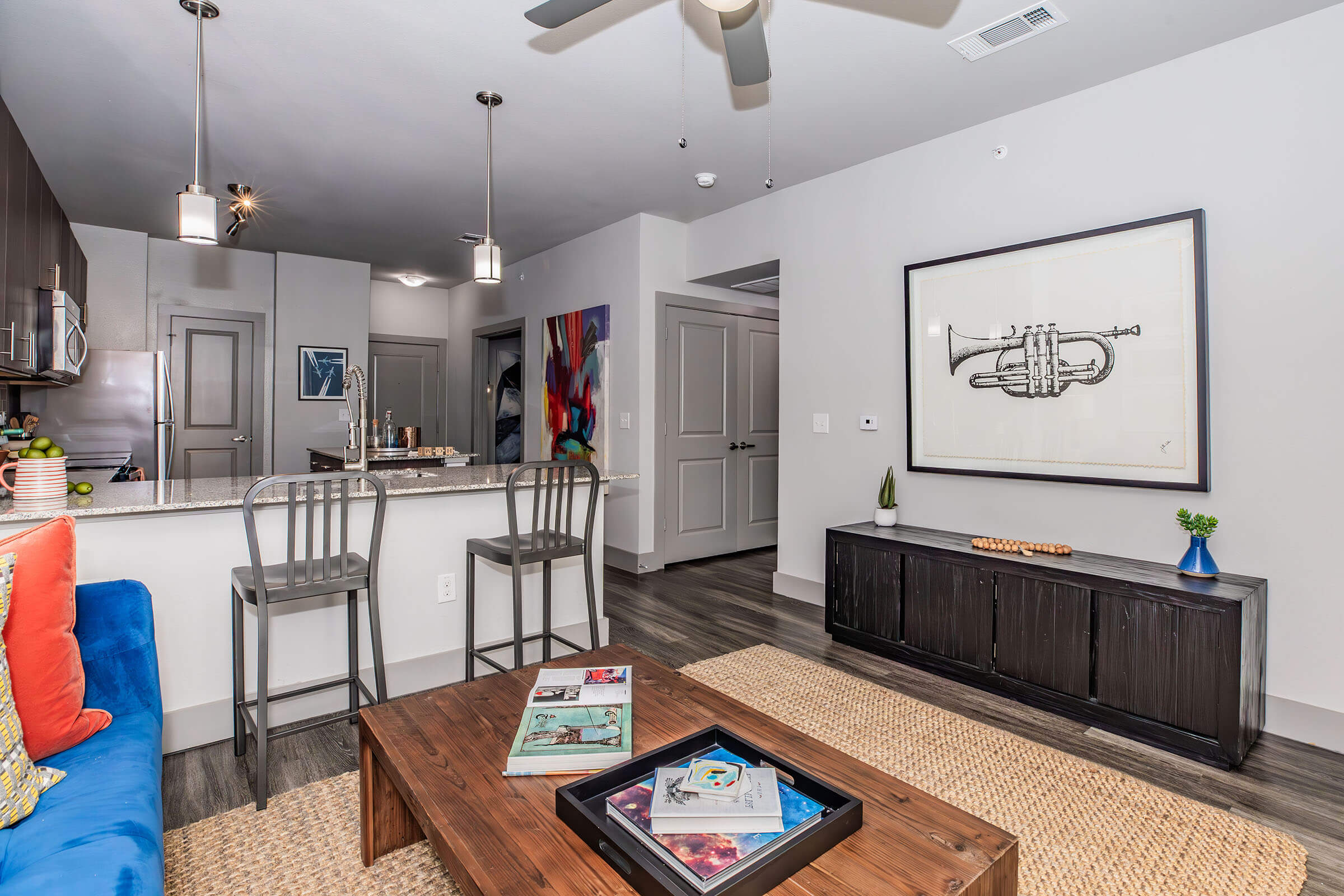 Apartment Features