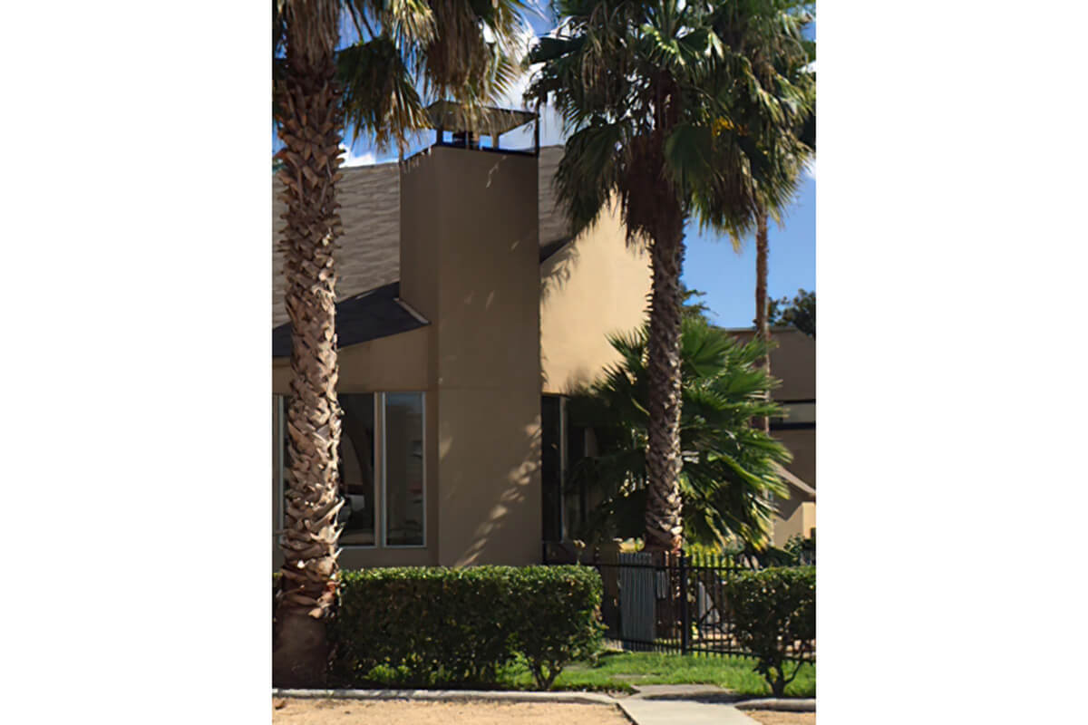 a palm tree in front of a building