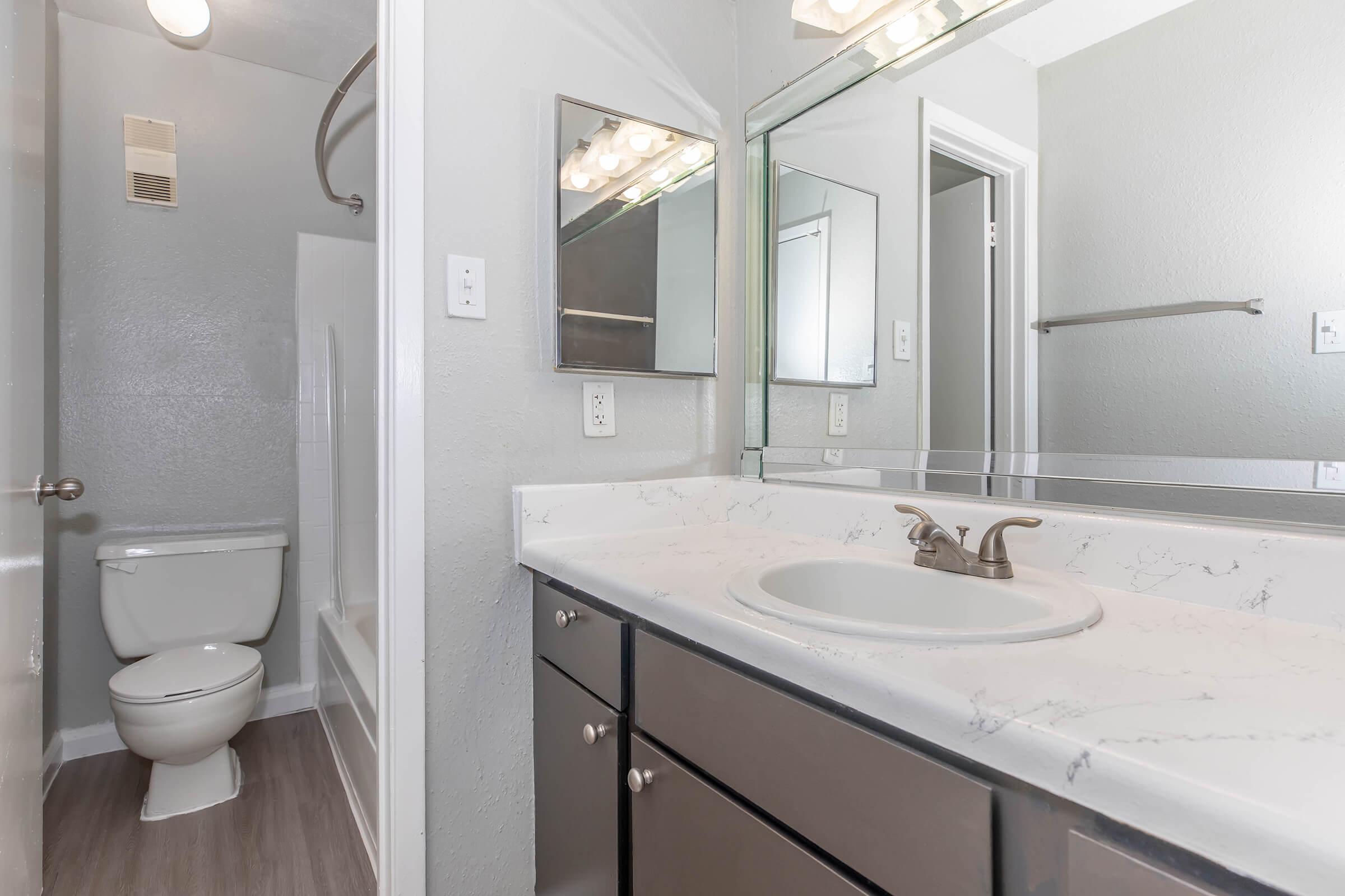 A modern bathroom featuring a white bathtub with a shower, a toilet, and a dual-sink vanity with a marble countertop. The walls are painted in a light gray color, and there are mirrors above the sinks, enhancing the sense of space and brightness. The flooring is a wooden laminate.