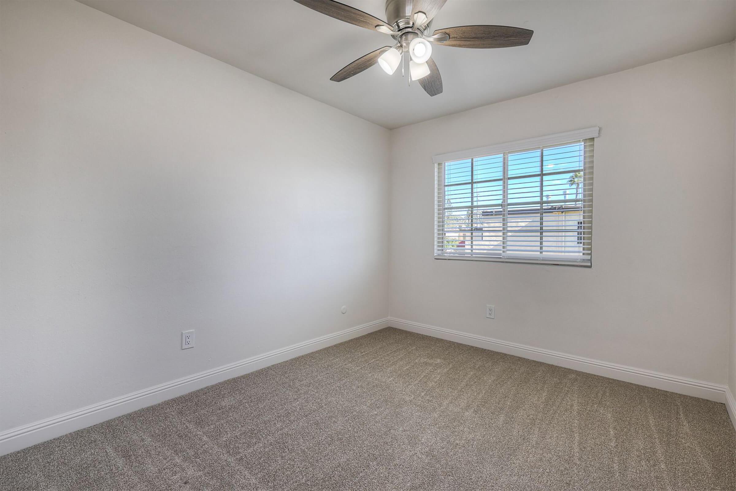 A well-lit, empty room featuring beige carpet, a ceiling fan with light fixtures, and a window with white blinds. The walls are painted a light color, creating a clean and spacious look. Ideal for use as a bedroom or office space.