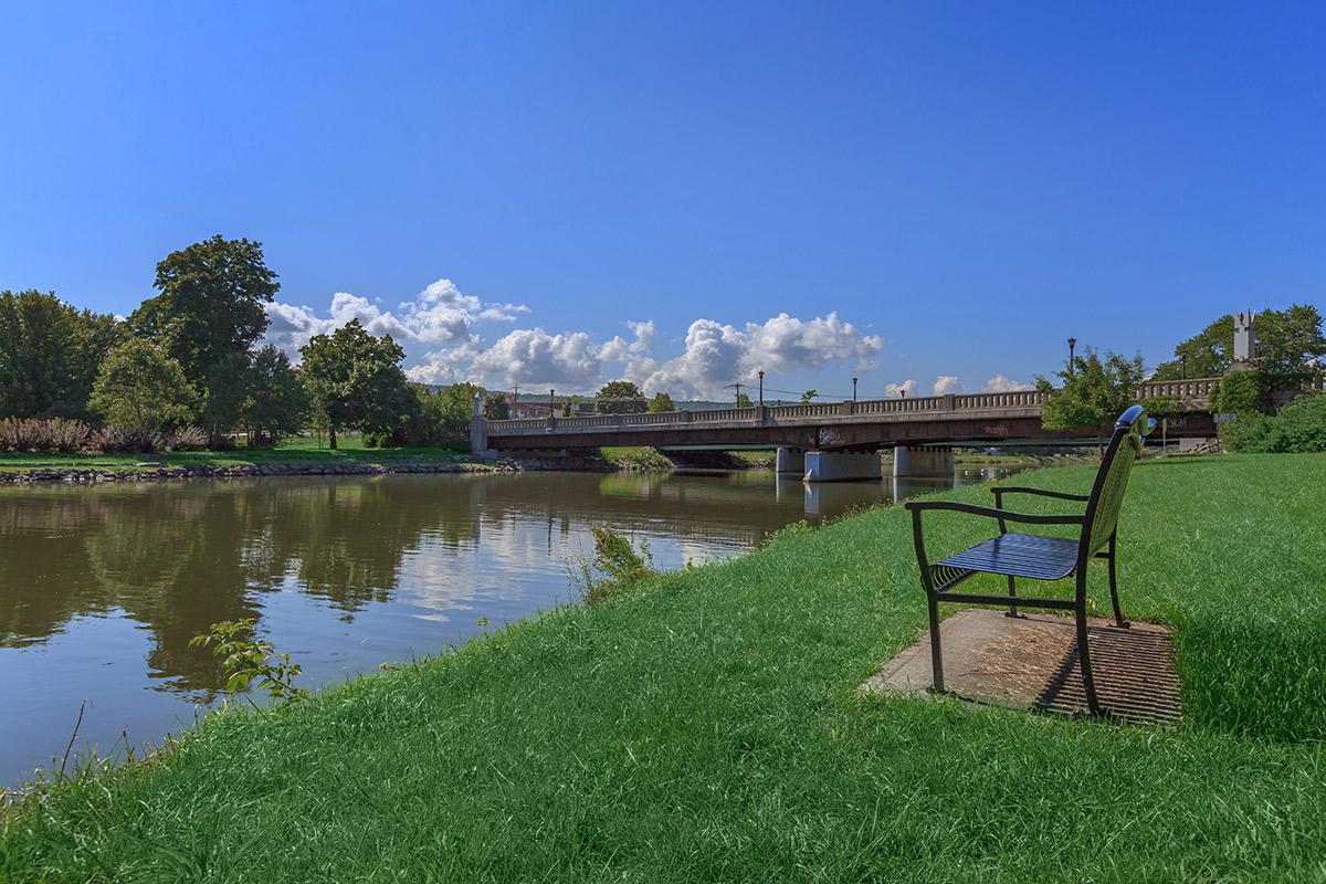 a body of water with grass and trees