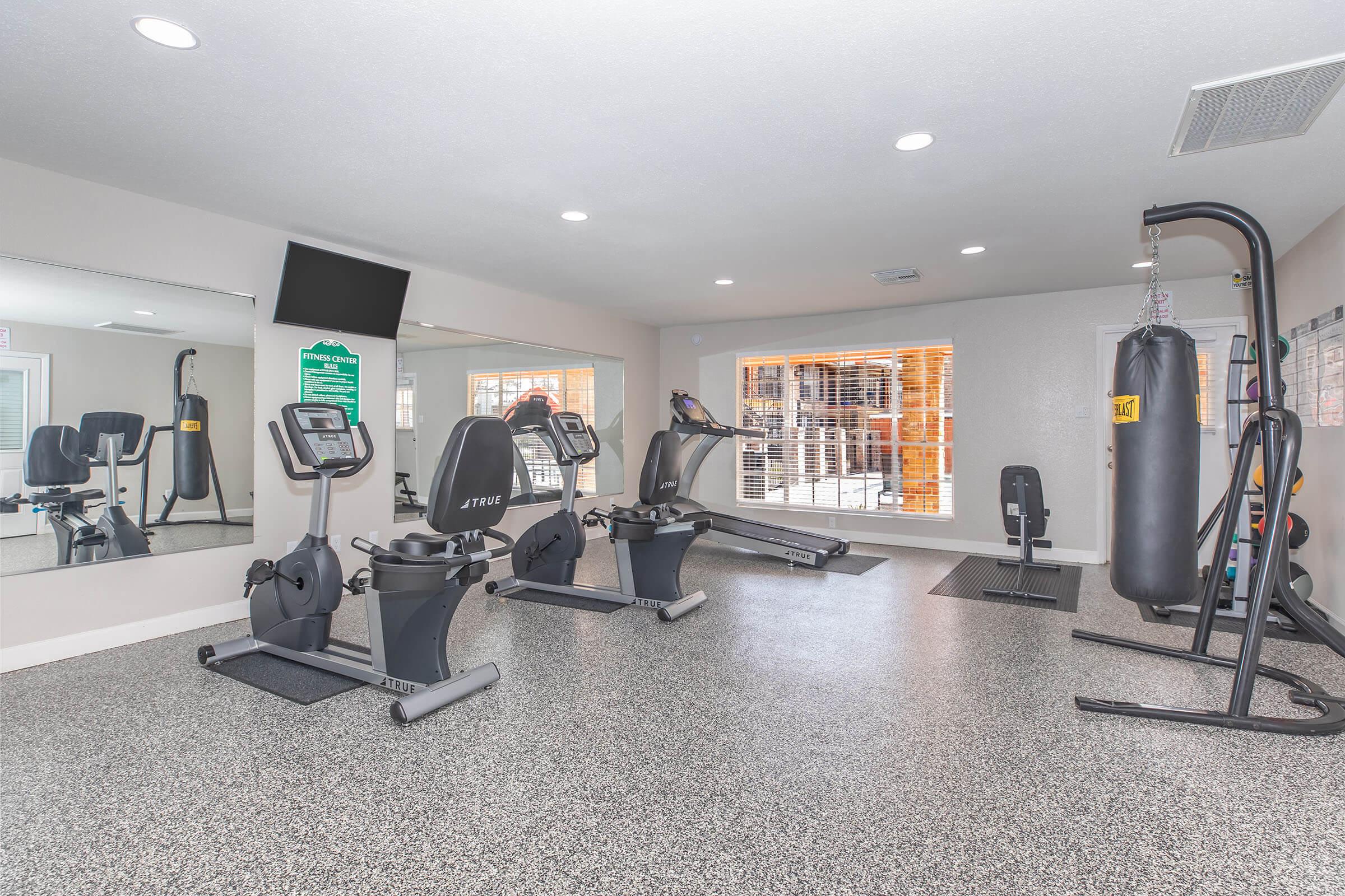 A modern gym with fitness equipment, including an elliptical machine, a stationary bike, and a treadmill. There is a punching bag, a large mirror, and a television mounted on the wall. Natural light shines through windows, creating a bright and inviting workout space. The flooring is textured and durable.