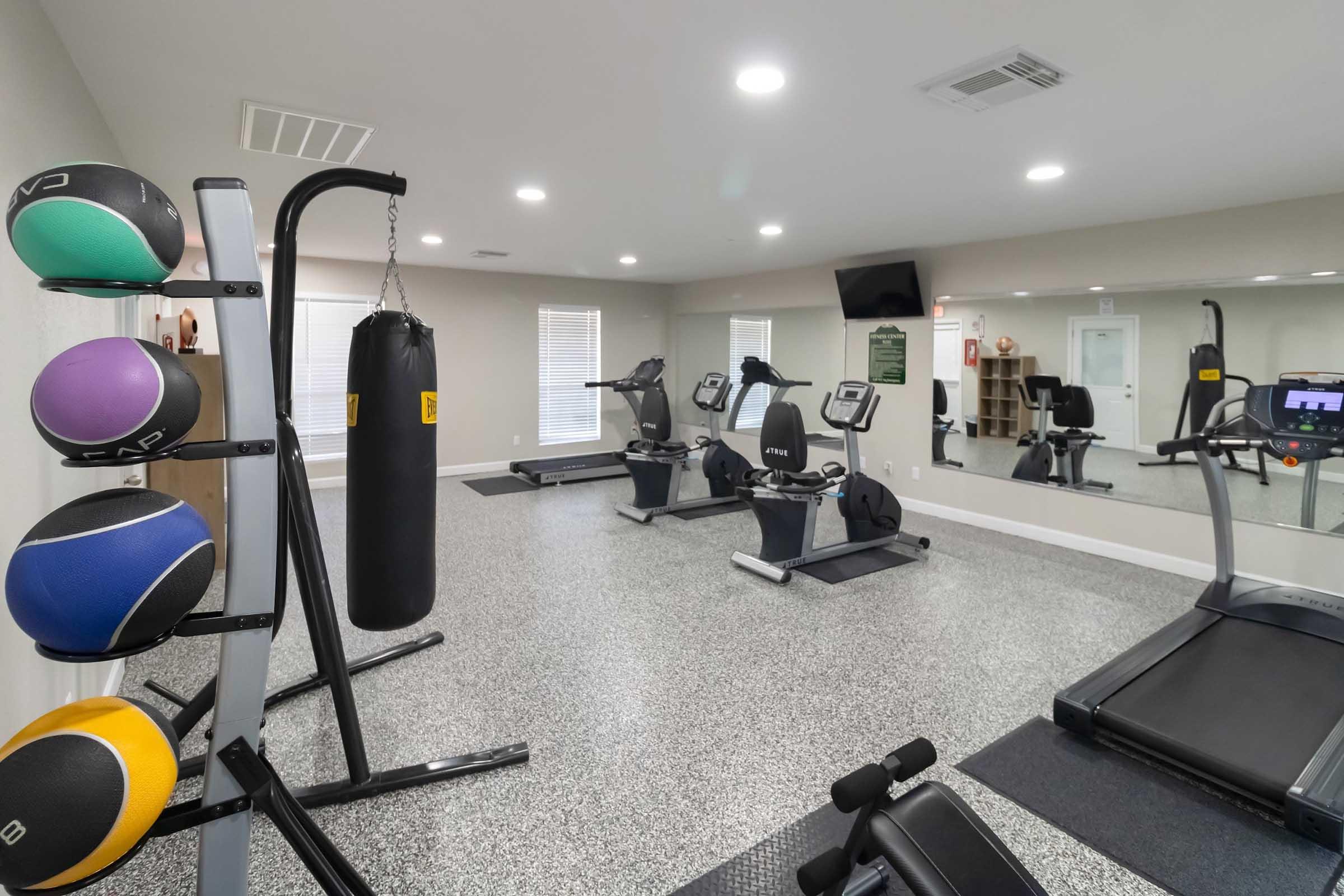 A modern gym interior featuring exercise equipment including a treadmill, stationary bikes, and a boxing bag. Colorful medicine balls are neatly arranged on a rack. The room has a spacious, well-lit atmosphere with large windows and mirrors, creating an inviting workout environment.