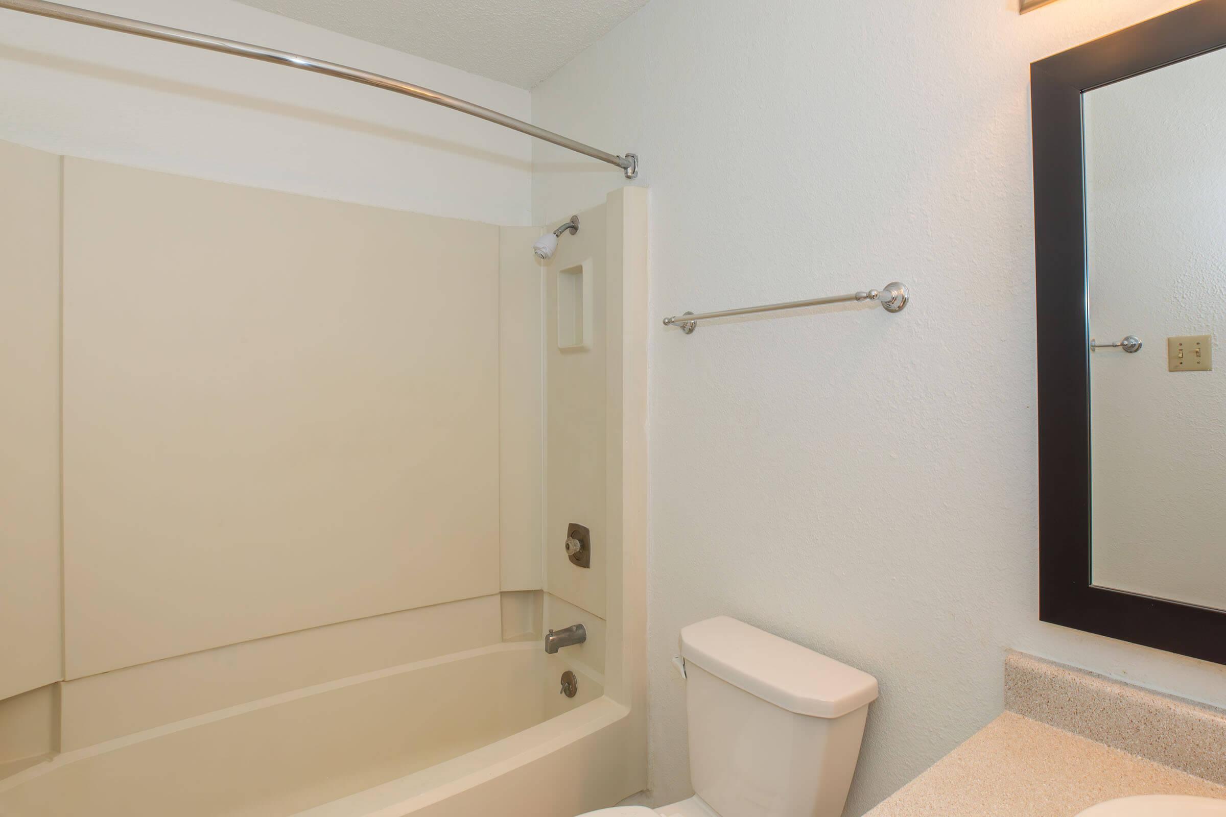 a shower that has a sink and a mirror