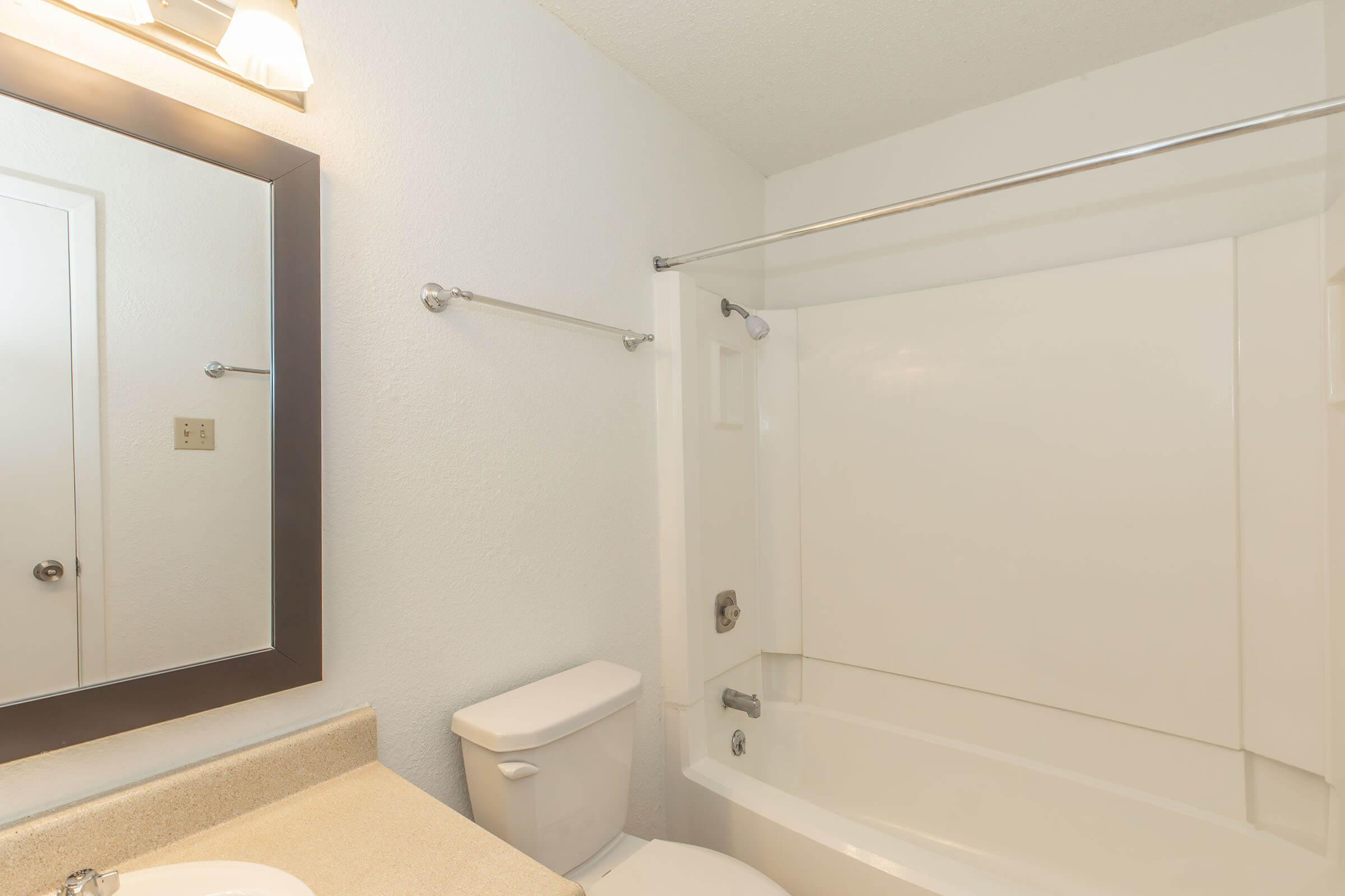 a shower that has a sink and a mirror