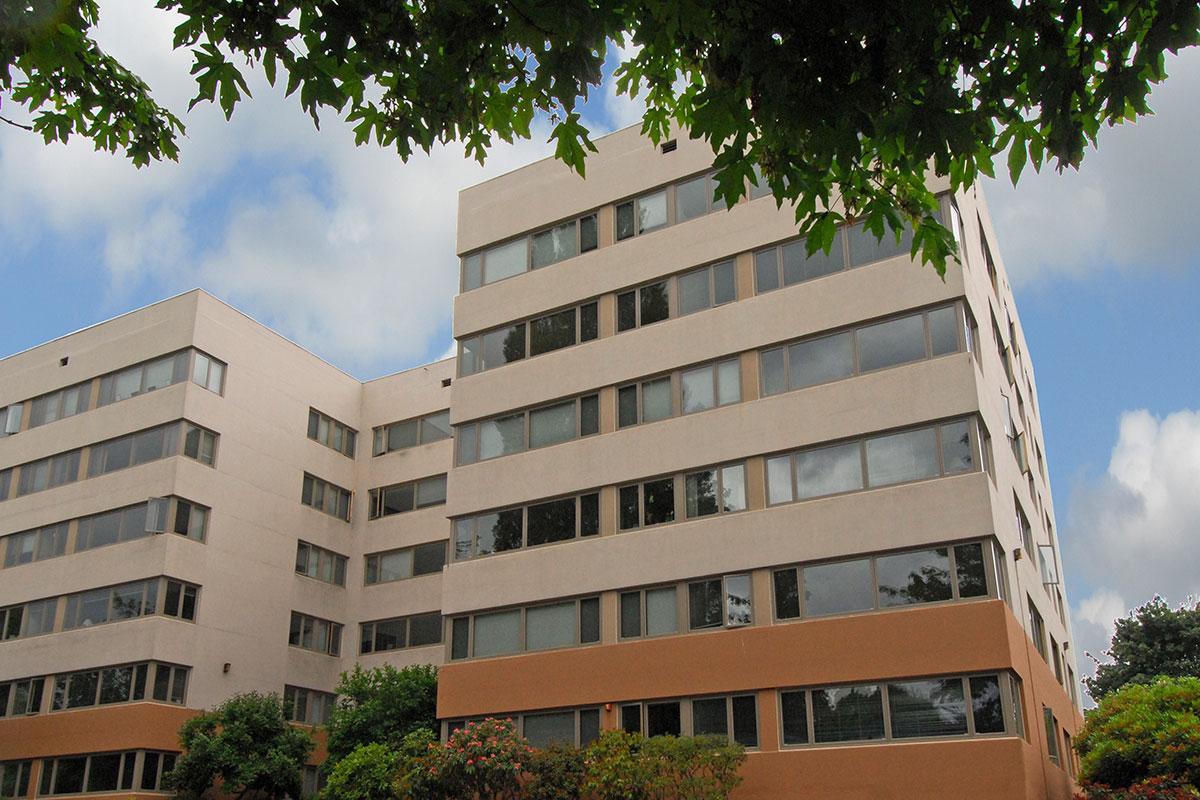 a tree in front of a tall building