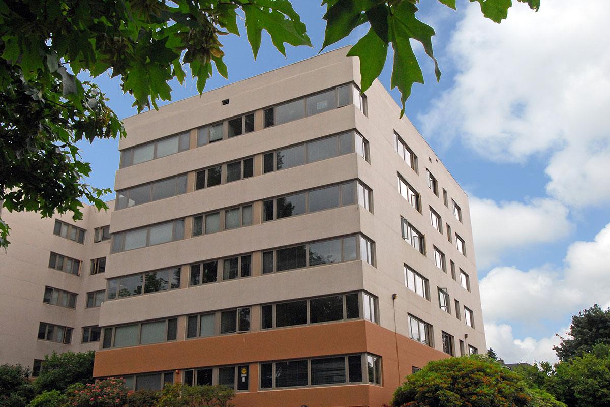 a large tree in front of a tall building