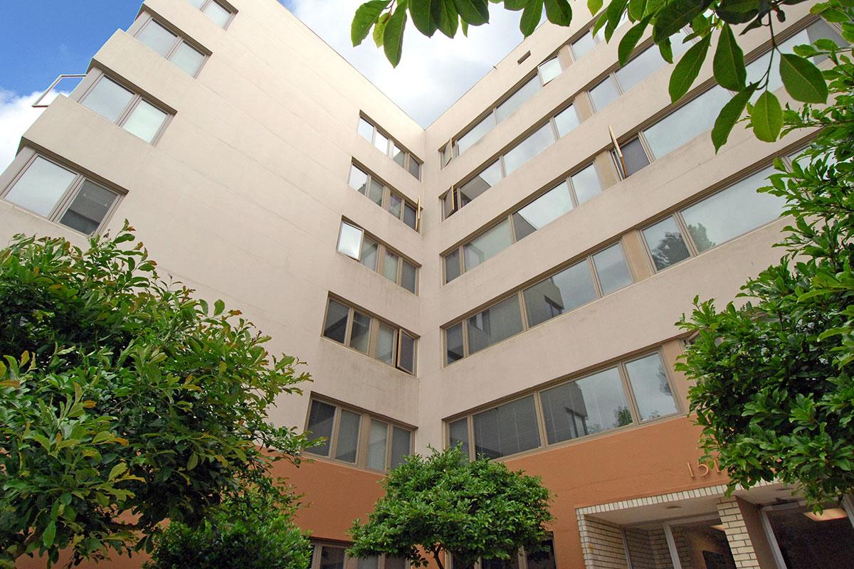 a tree in front of a building