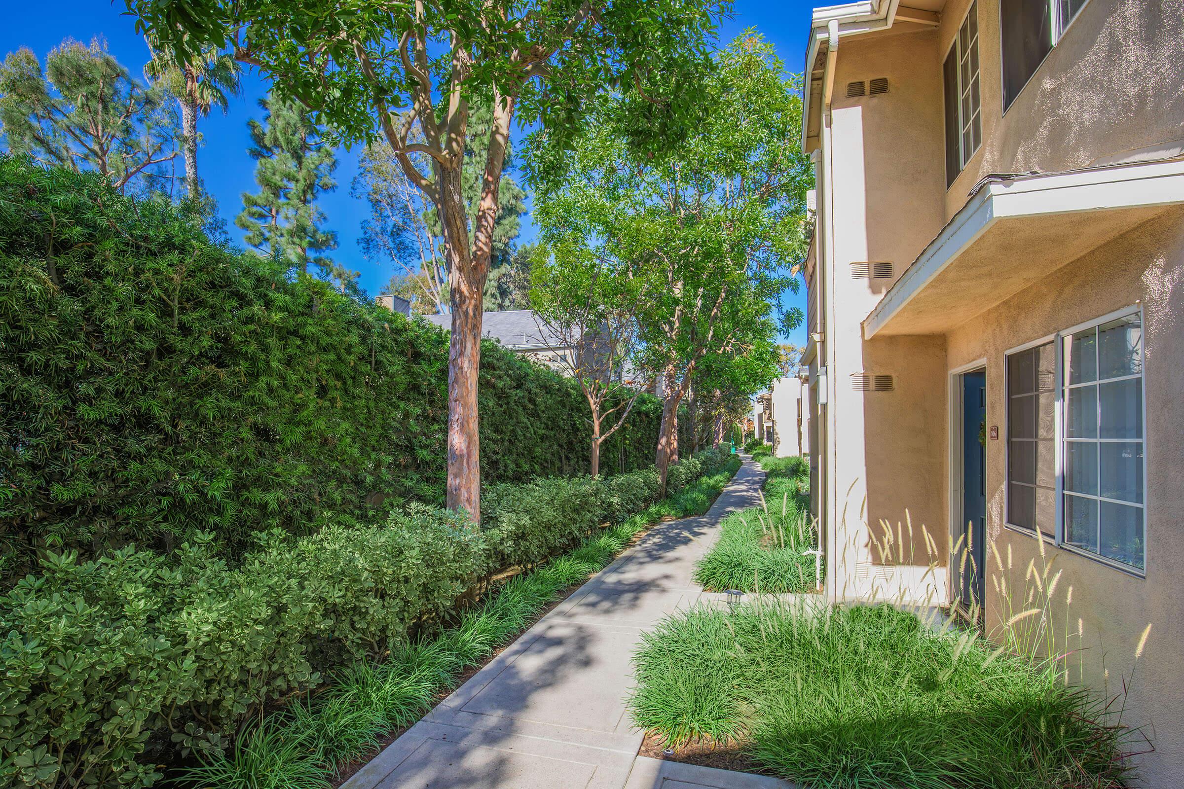 A clean, well-maintained pathway flanked by lush greenery and trees, leading between two buildings. The path is bordered by low shrubs and grasses, under a bright blue sky, creating a pleasant, inviting atmosphere. The buildings feature light-colored exteriors and windows that add to the serene environment.