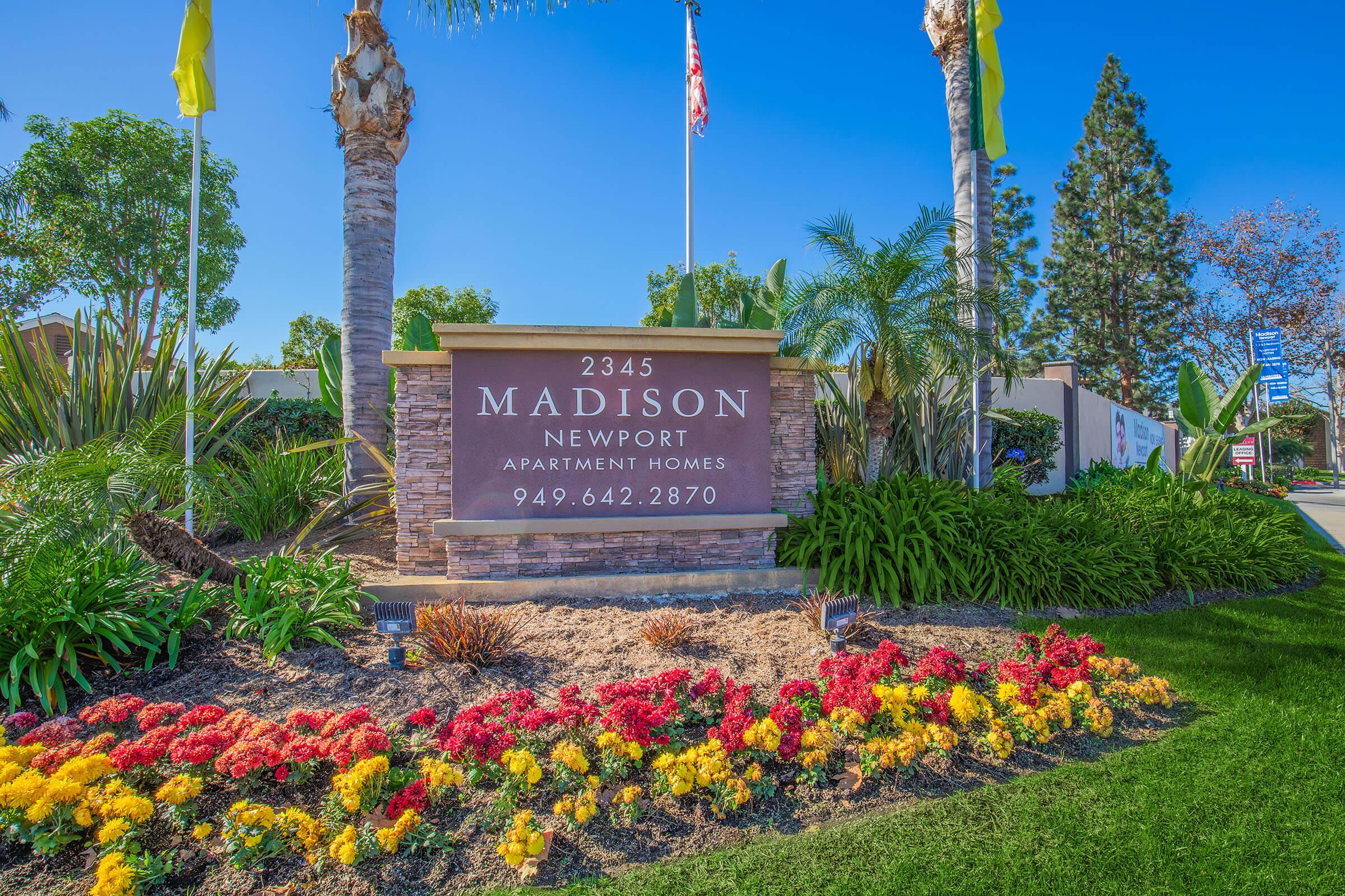 Sign for Madison Newport Apartment Homes, featuring the address 2345 and a phone number (949-642-2870). Surrounding the sign are manicured flower beds with vibrant flowers and tall palm trees, creating a welcoming entrance to the apartment complex.