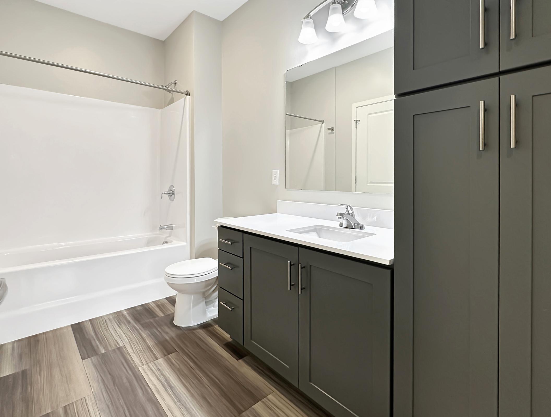 A modern bathroom featuring a bathtub with a showerhead, a white toilet, and a double sink vanity with gray cabinets. The walls are neutral-colored, and the floor has a wood-like design. Bright lighting illuminates the space, creating a clean and contemporary atmosphere.