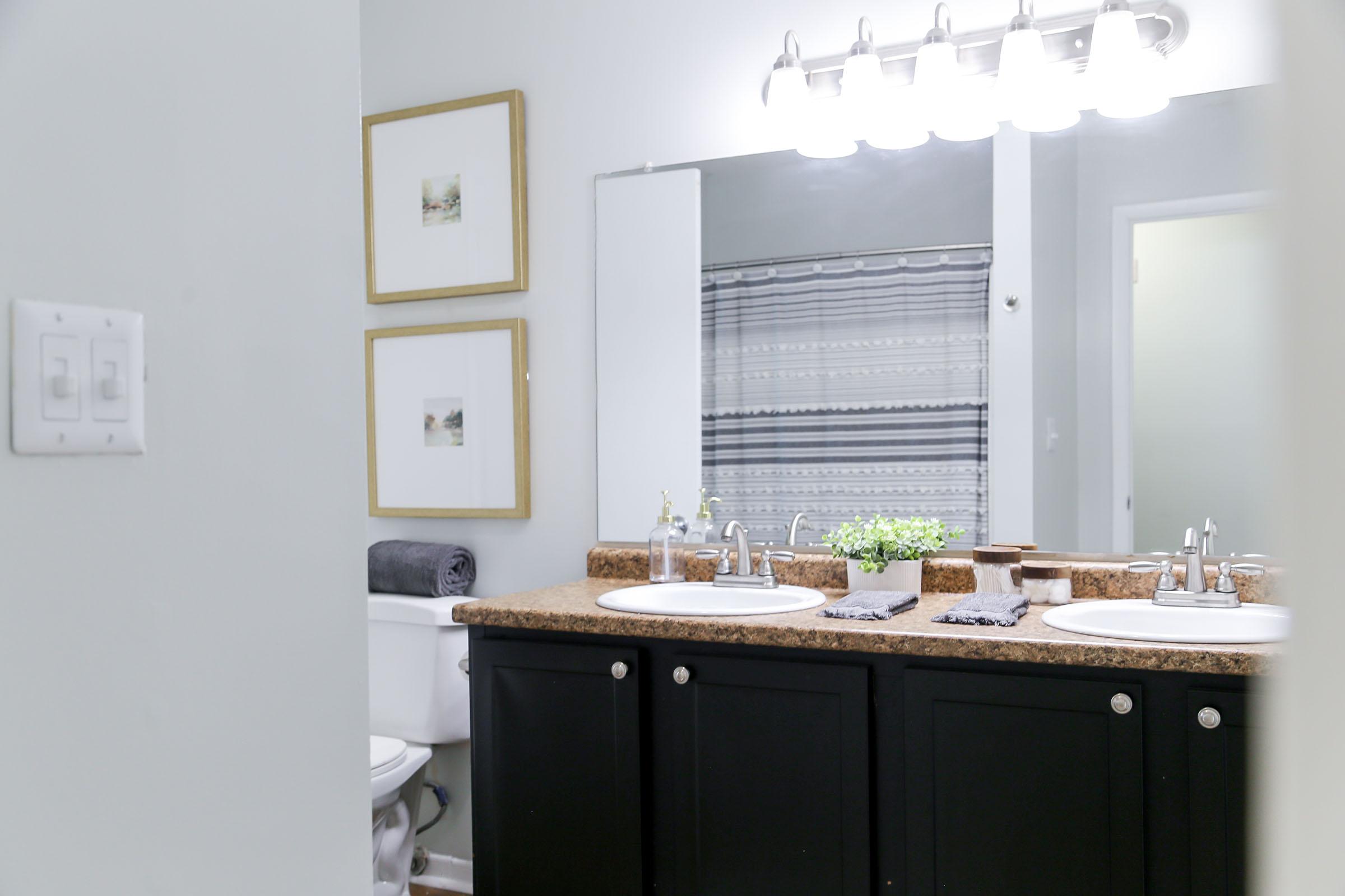 A modern bathroom featuring a double vanity with two sinks, a large mirror above, and stylish light fixtures. The countertops are dark granite, and there are framed artworks on the wall. A shower with a striped curtain is visible, along with a neatly organized towel and decorative plant on the counter.