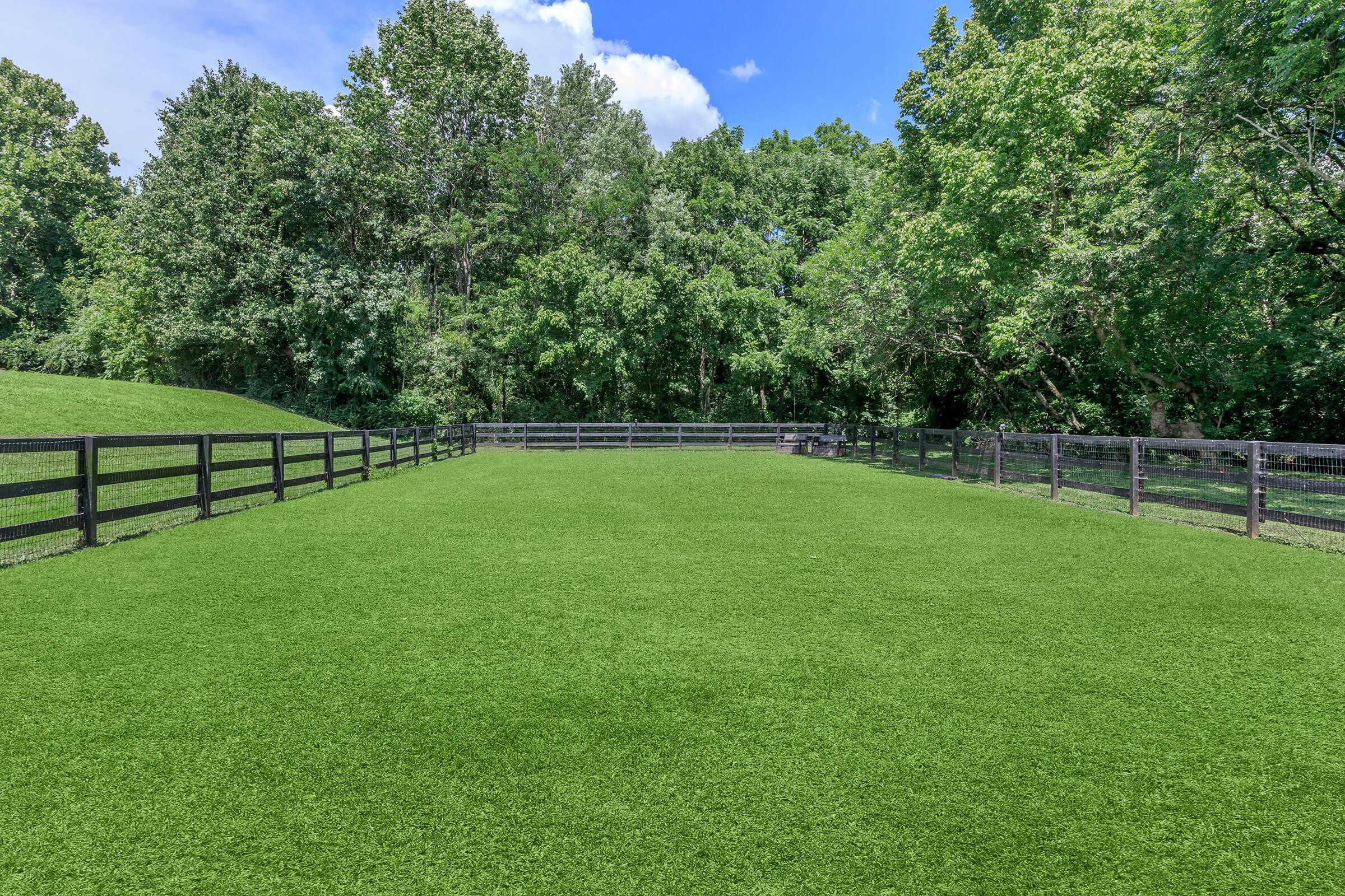 A spacious, green grassy area surrounded by wooden fences, with trees in the background under a clear blue sky. The setting appears peaceful and natural, ideal for outdoor activities.