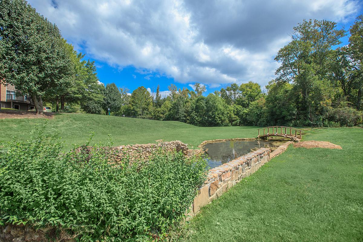 Lush mature landscaping