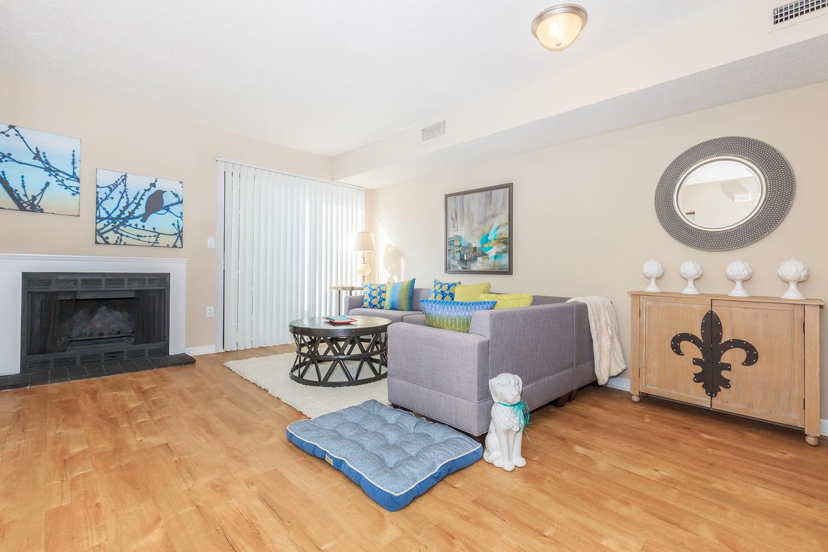 Bright and Spacious living room at Waterford Village