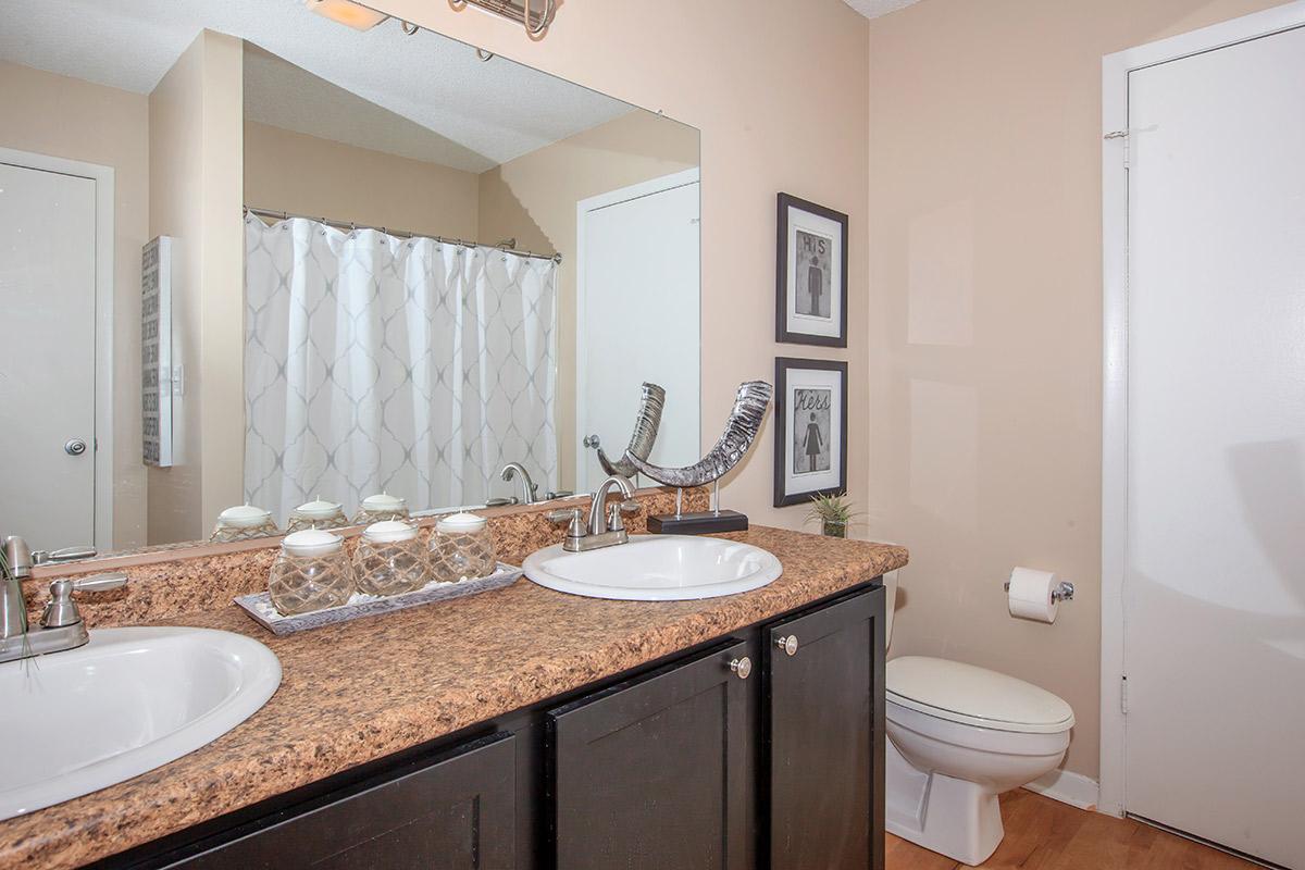 Get ready easier with dual vanities in the master bath, here at Waterford Village
