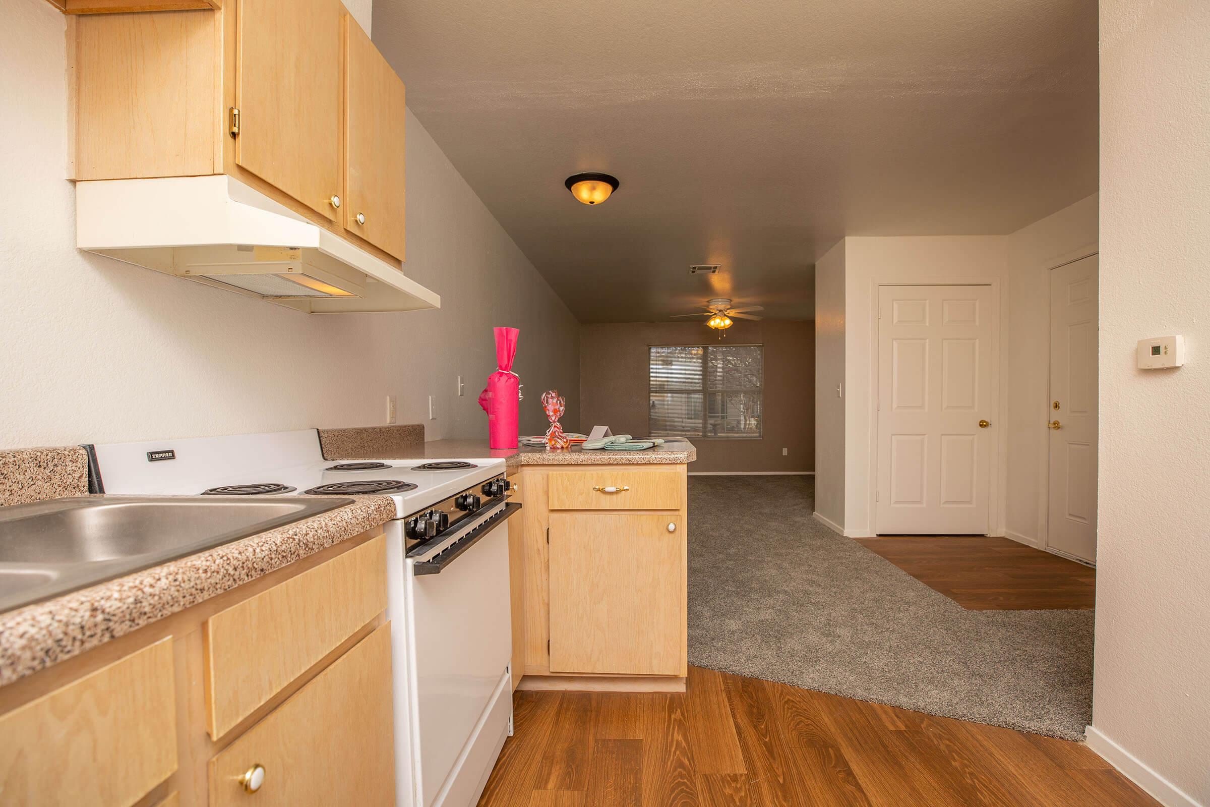 a kitchen with a stove sink and refrigerator