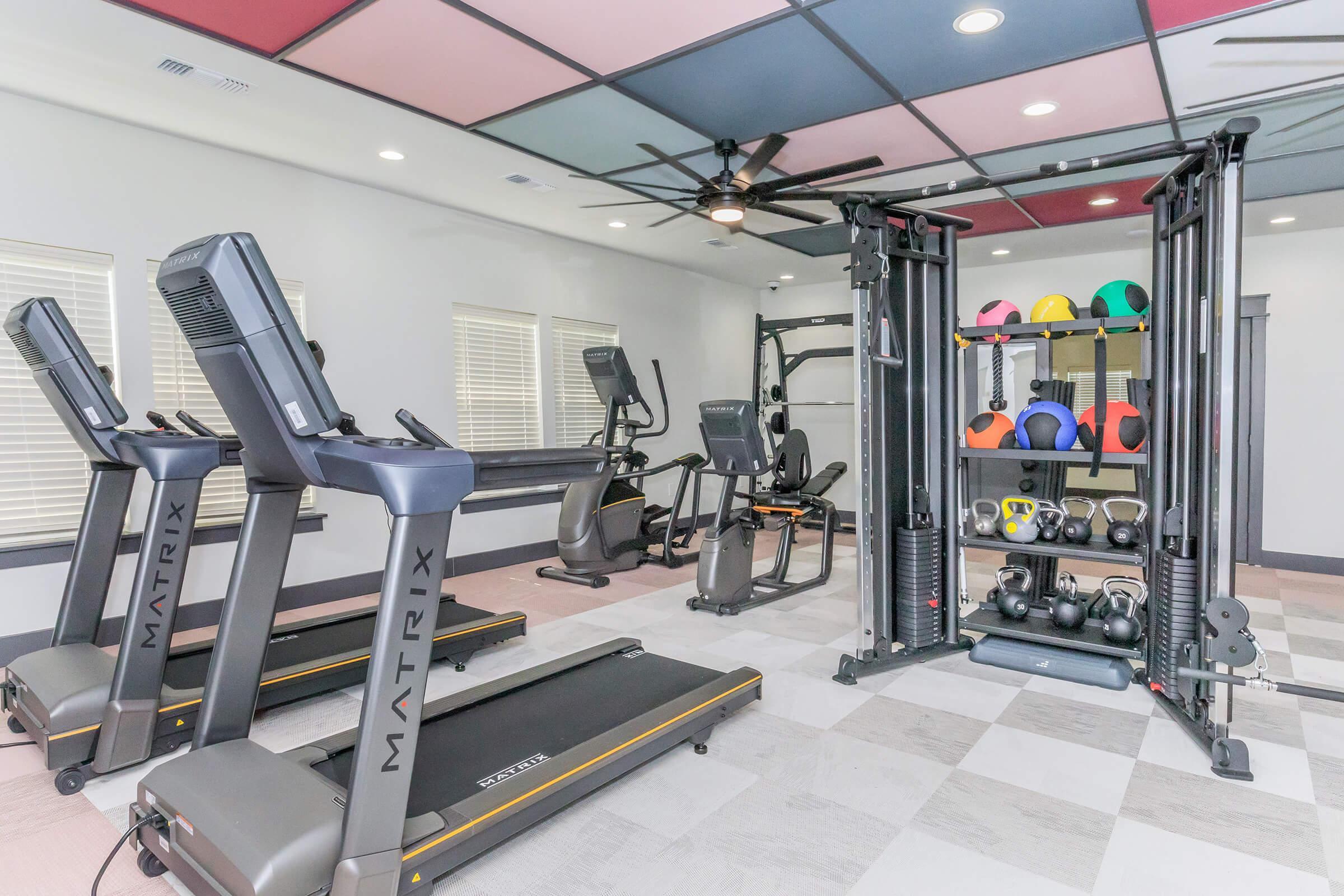 A modern gym interior featuring two treadmills, exercise bikes, and a multi-station workout machine. Colorful kettlebells and medicine balls are neatly arranged on a rack. The ceiling has a unique multicolored design, and large windows provide natural light to the space.