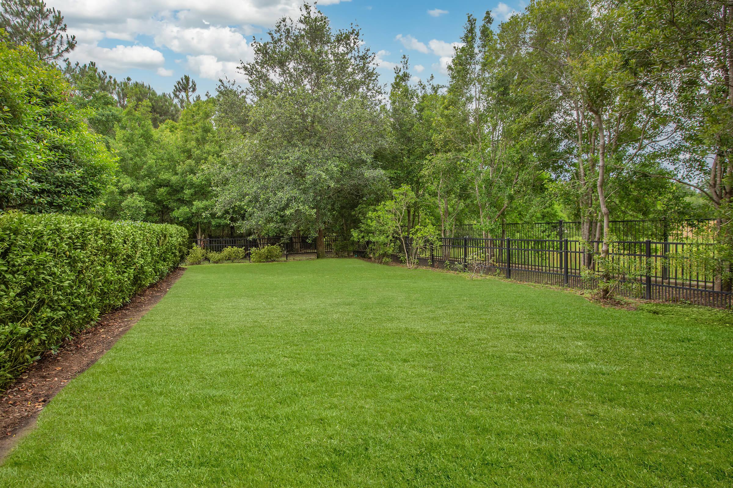 a tree in the middle of a lush green field