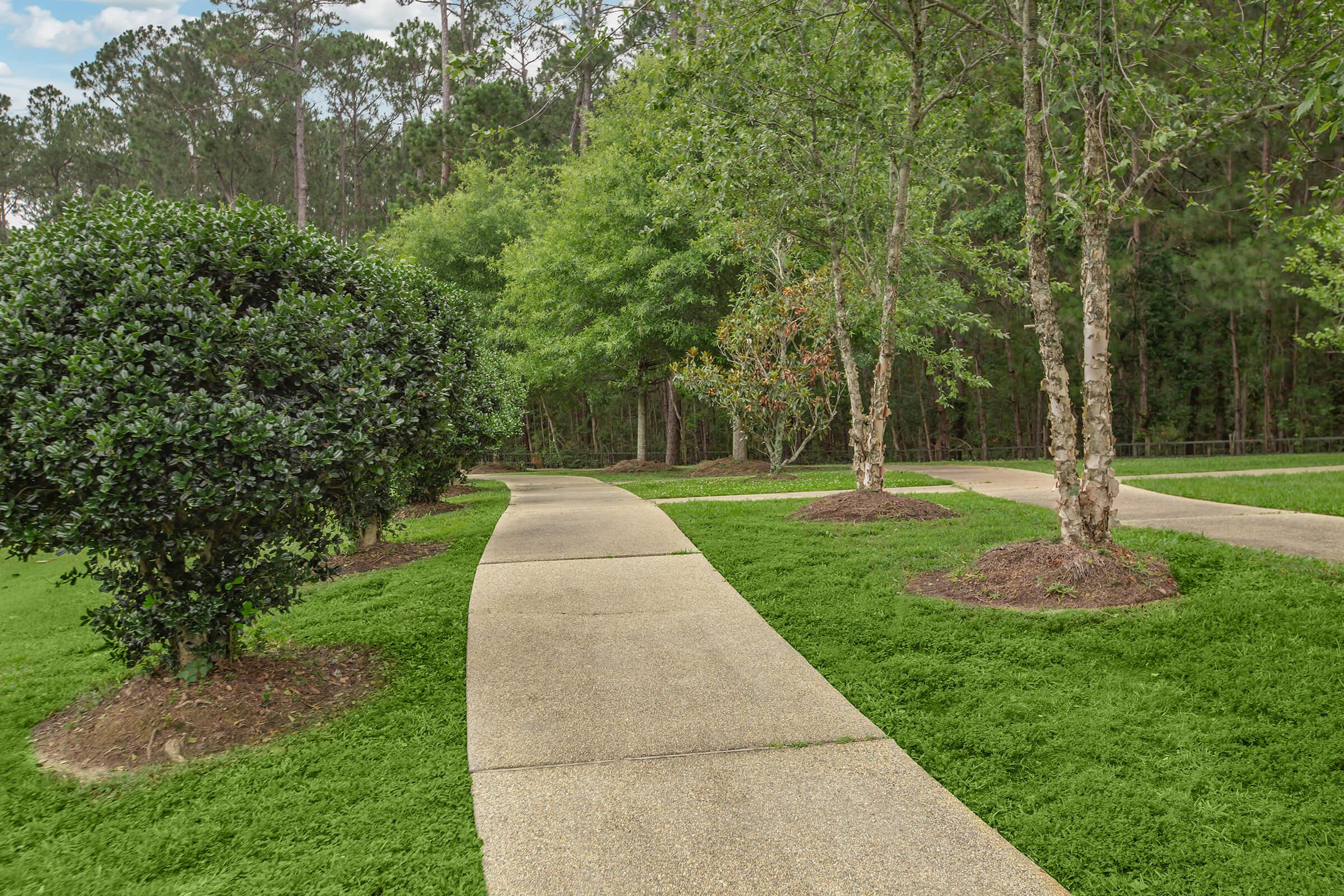 a path in a park