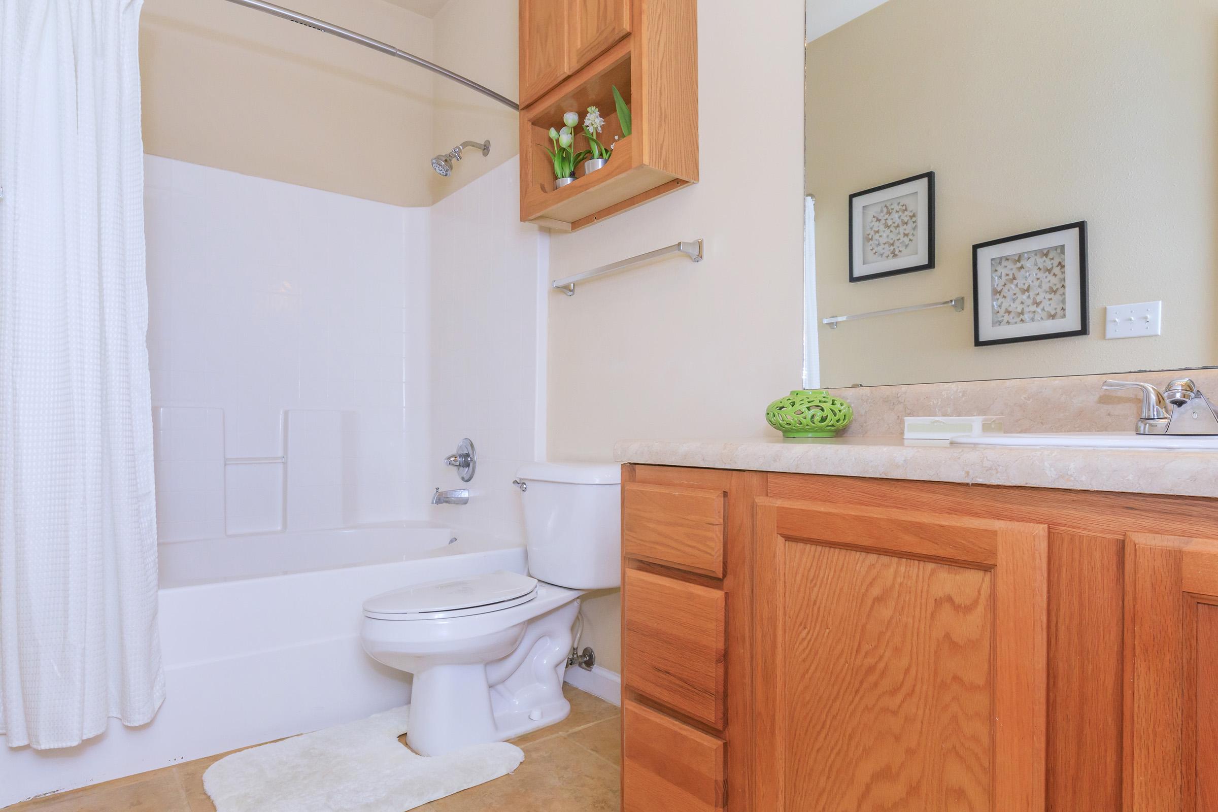A clean and modern bathroom featuring a white bathtub with a shower curtain, a toilet, and a wooden vanity with an oval sink. The vanity has oak cabinets and a green decorative piece. Two framed pictures adorn the walls, and a small shelf holds decorative plants near the mirror.