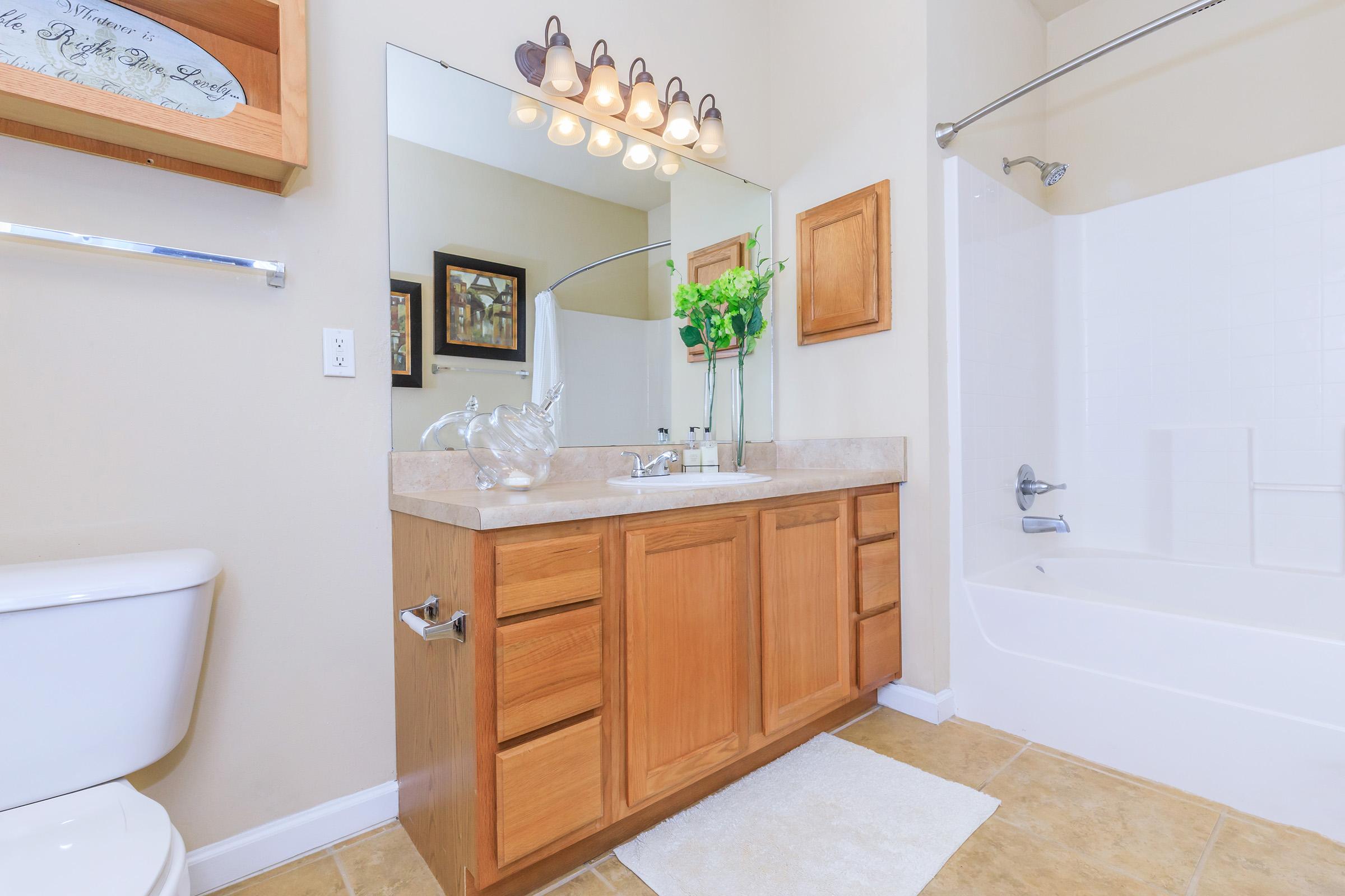 A clean and bright bathroom featuring a wooden vanity with sink, a large mirror above, and decorative plants. A stand-up shower and bathtub are included, along with a white toilet. Soft lighting and neutral-toned tiles create a warm atmosphere.