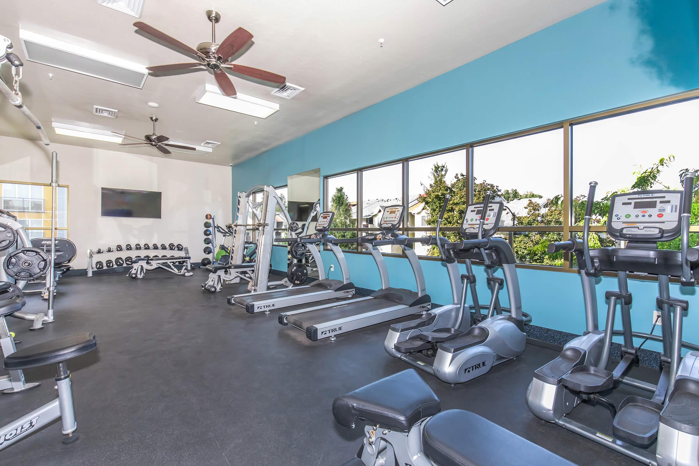 A modern gym interior featuring various exercise equipment, including treadmills, ellipticals, and free weights. The space has large windows allowing natural light to enter, and the walls are painted in a light blue color, creating a bright and inviting atmosphere for workouts.