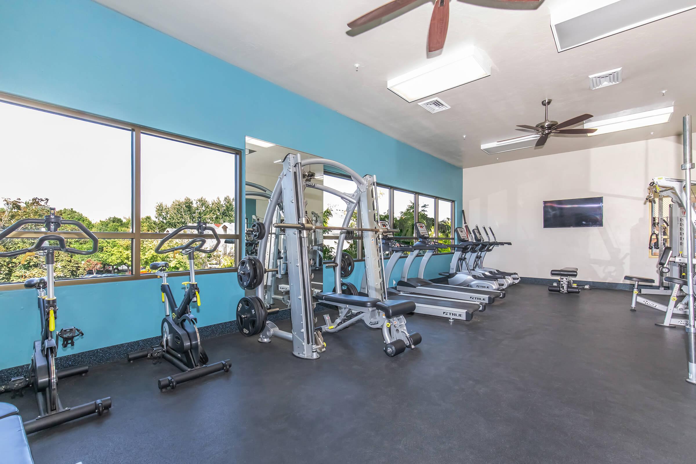 A spacious gym with various exercise equipment, including weight machines and cardio machines. Large windows allow natural light to fill the room, and a television is mounted on the wall. The flooring is dark, and the walls are painted a calming blue.