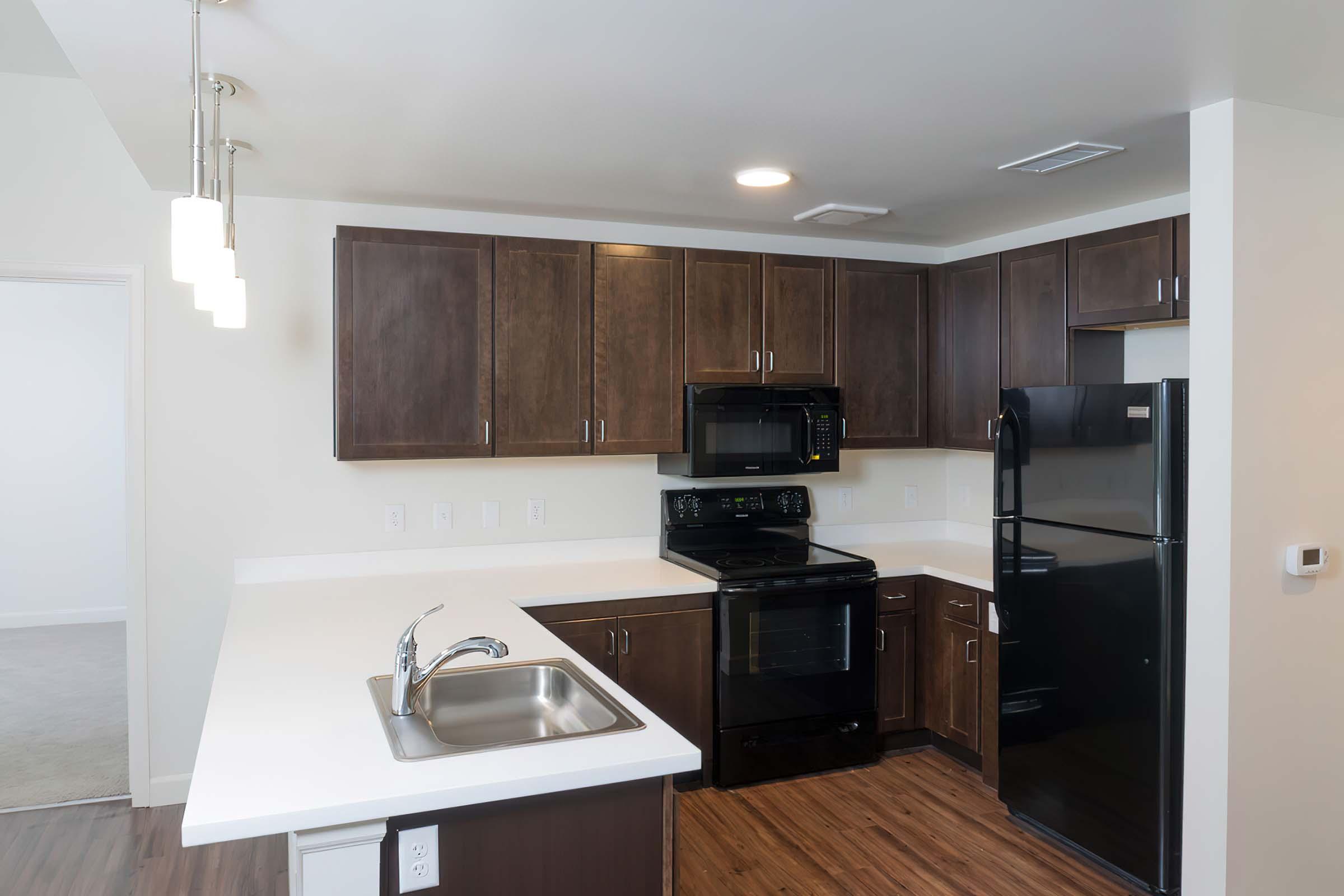 Modern kitchen featuring dark wood cabinets, a white countertop, and stainless steel appliances. The setup includes a black refrigerator, an electric stove with an oven, and a double-basin sink. Bright overhead lighting enhances the spacious feel of the area.