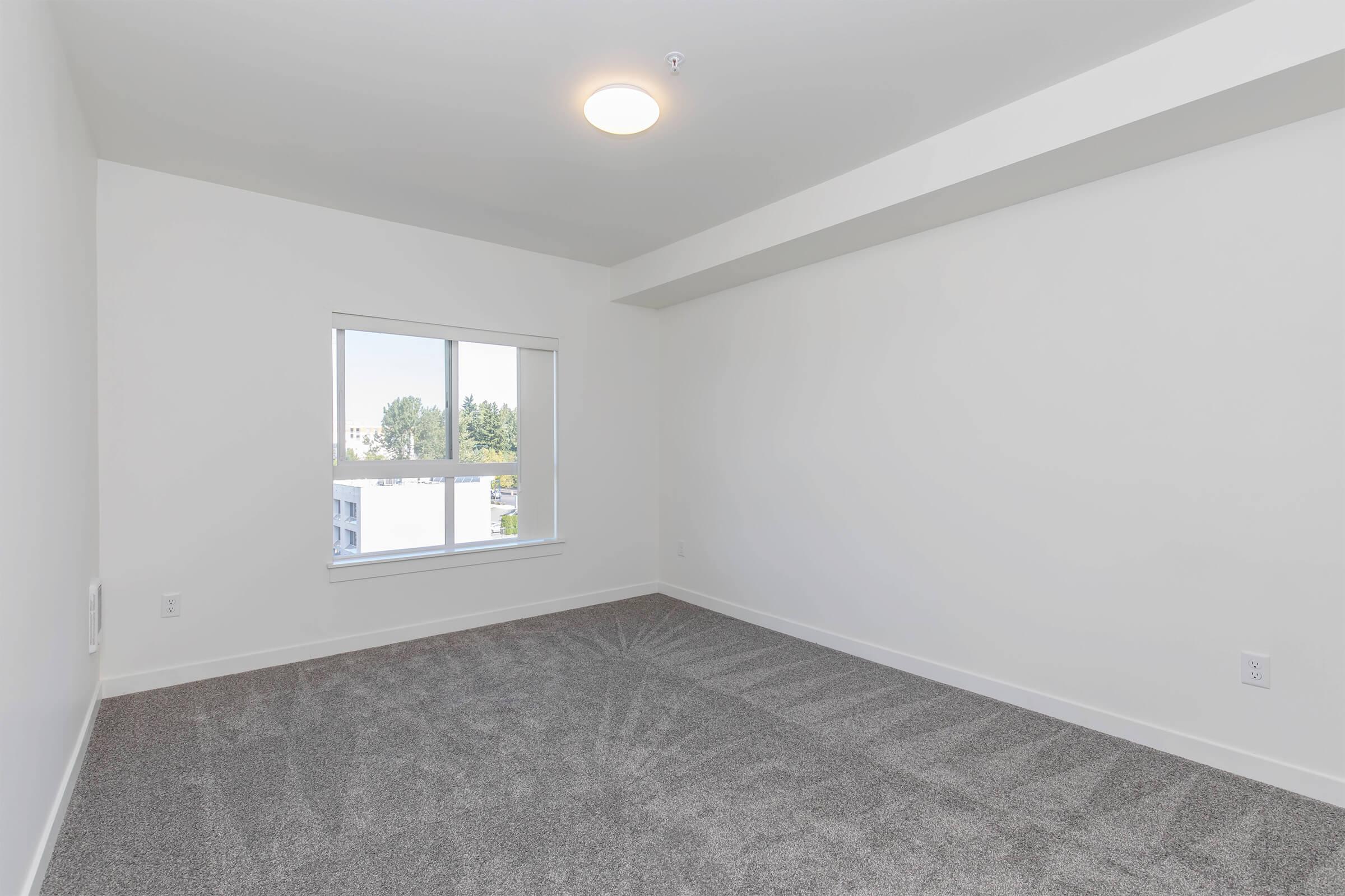 A vacant room featuring light gray carpet and white walls. The space has a large window allowing natural light, with a view of greenery outside. A modern ceiling light fixture is mounted above, and the room appears well-lit and spacious, ready for furniture and decoration.