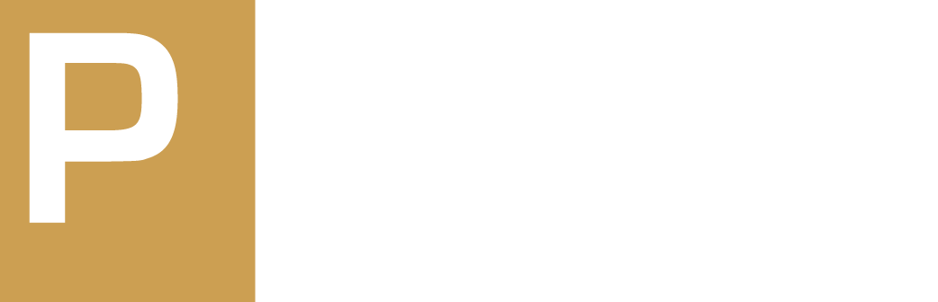 Pointe by Vintage ebrochure logo
