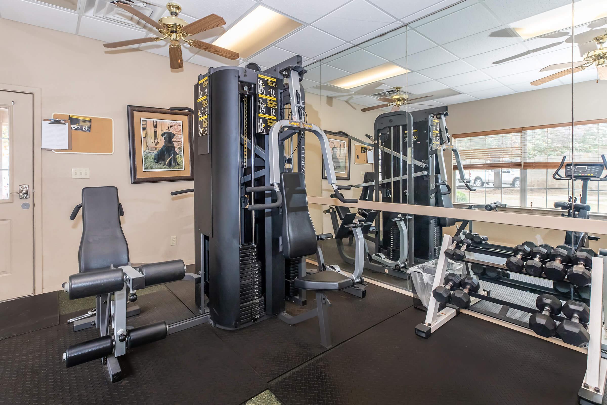 A well-equipped gym featuring various exercise machines, including a multi-station gym apparatus and free weights. The space has large mirrors on one wall, a ceiling fan, and artwork hanging on the walls, creating a bright and inviting atmosphere.