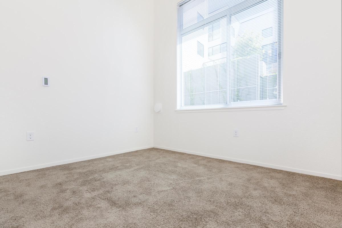 A vacant room with beige carpet and white walls. A window with blinds allows natural light to enter, providing a view of an outdoor area. The space is empty, creating a minimalistic and clean atmosphere. A small wall-mounted device is visible, possibly for heating or air conditioning.