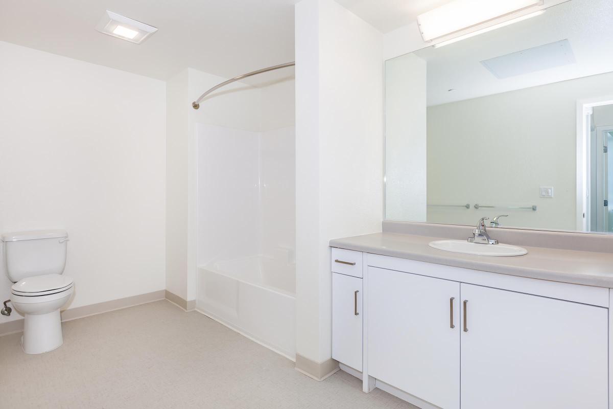 A clean and modern bathroom featuring a white bathtub and shower, a toilet, and a vanity with a sink. The walls are painted in light colors, and there is a large mirror above the sink. Natural light illuminates the space, creating a fresh and spacious feel.