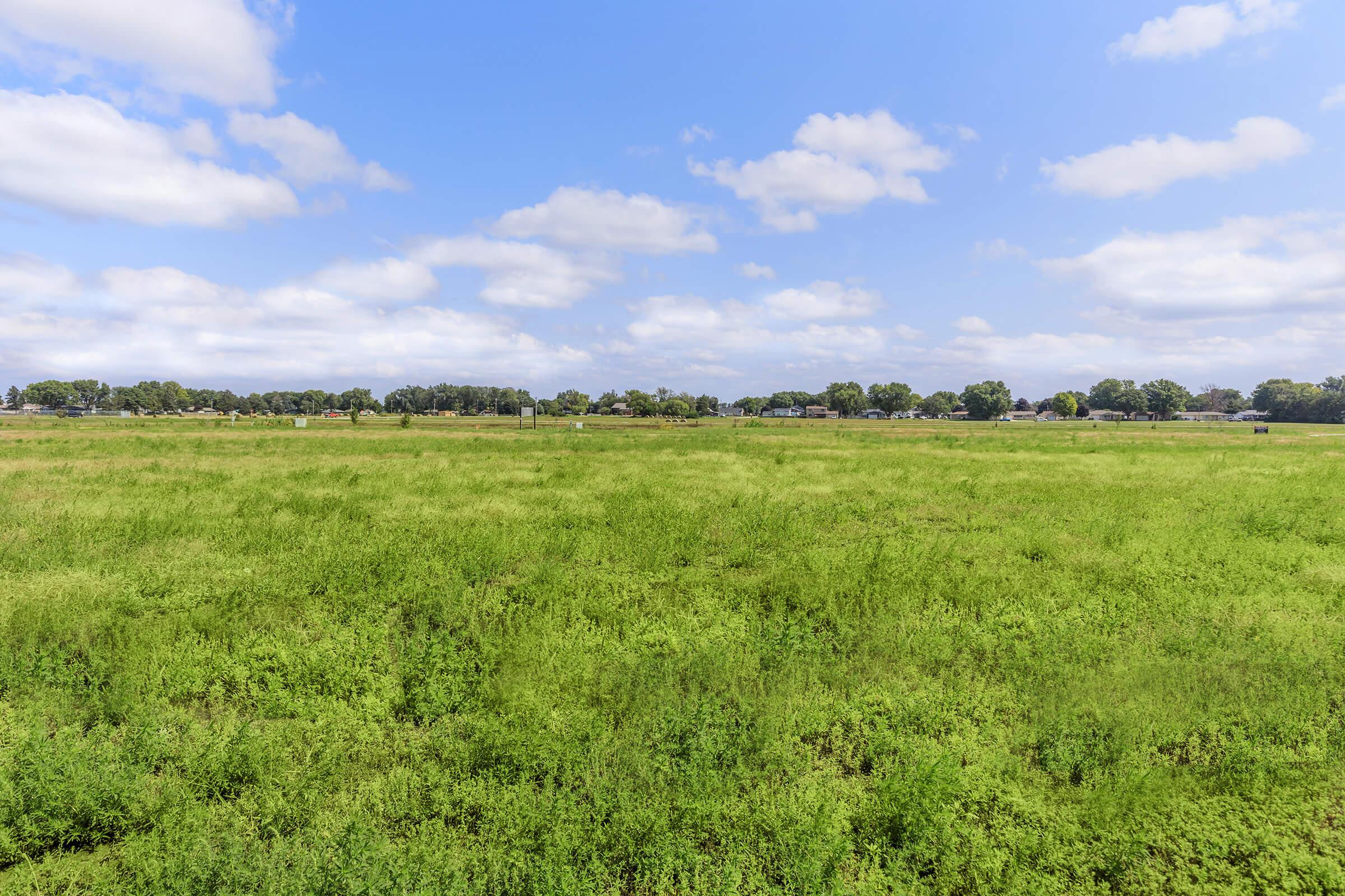 A wide-open field covered in lush green grass and small plants, under a blue sky filled with fluffy white clouds. In the background, there are trees and what appears to be houses or structures along the horizon. The scene conveys a tranquil and expansive natural landscape.