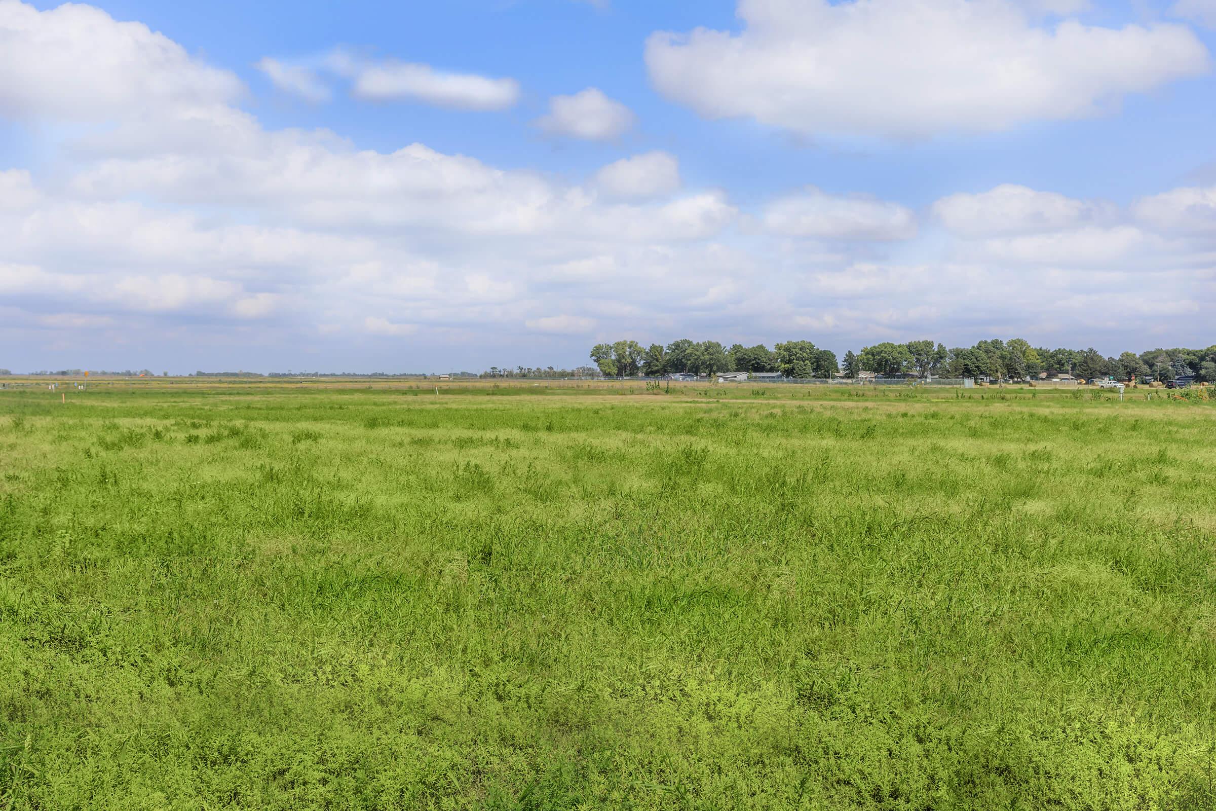 A wide view of a lush green field under a blue sky with fluffy white clouds. In the background, there are trees and structures, suggesting a rural setting. The landscape conveys a sense of tranquility and natural beauty.